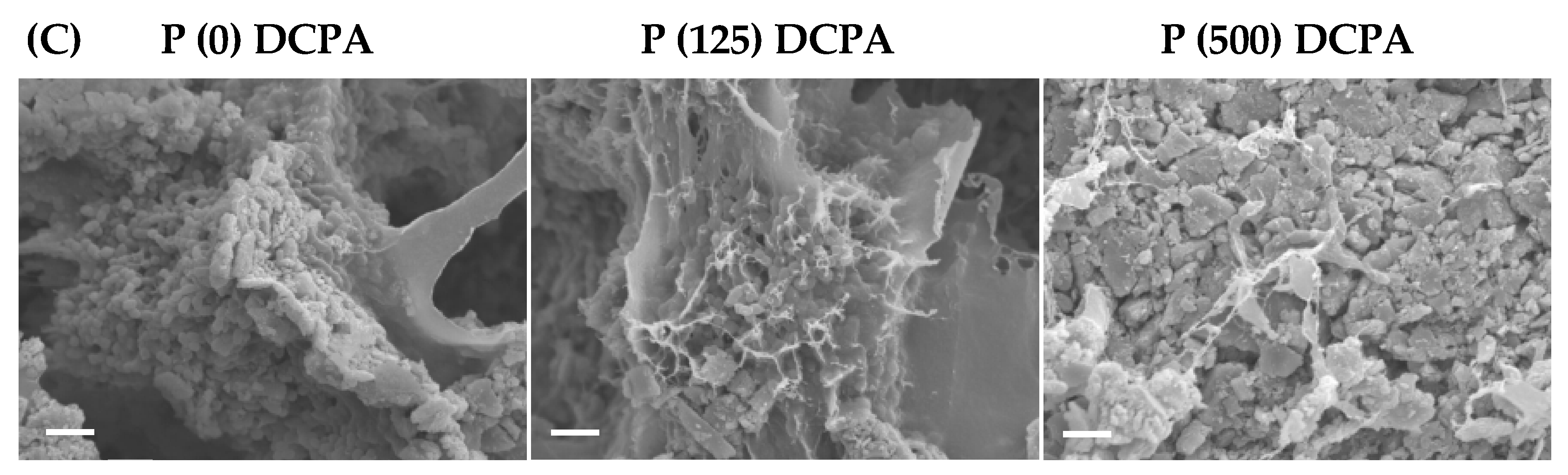 Materials 12 02816 g003b Materials 12 02816 g003b