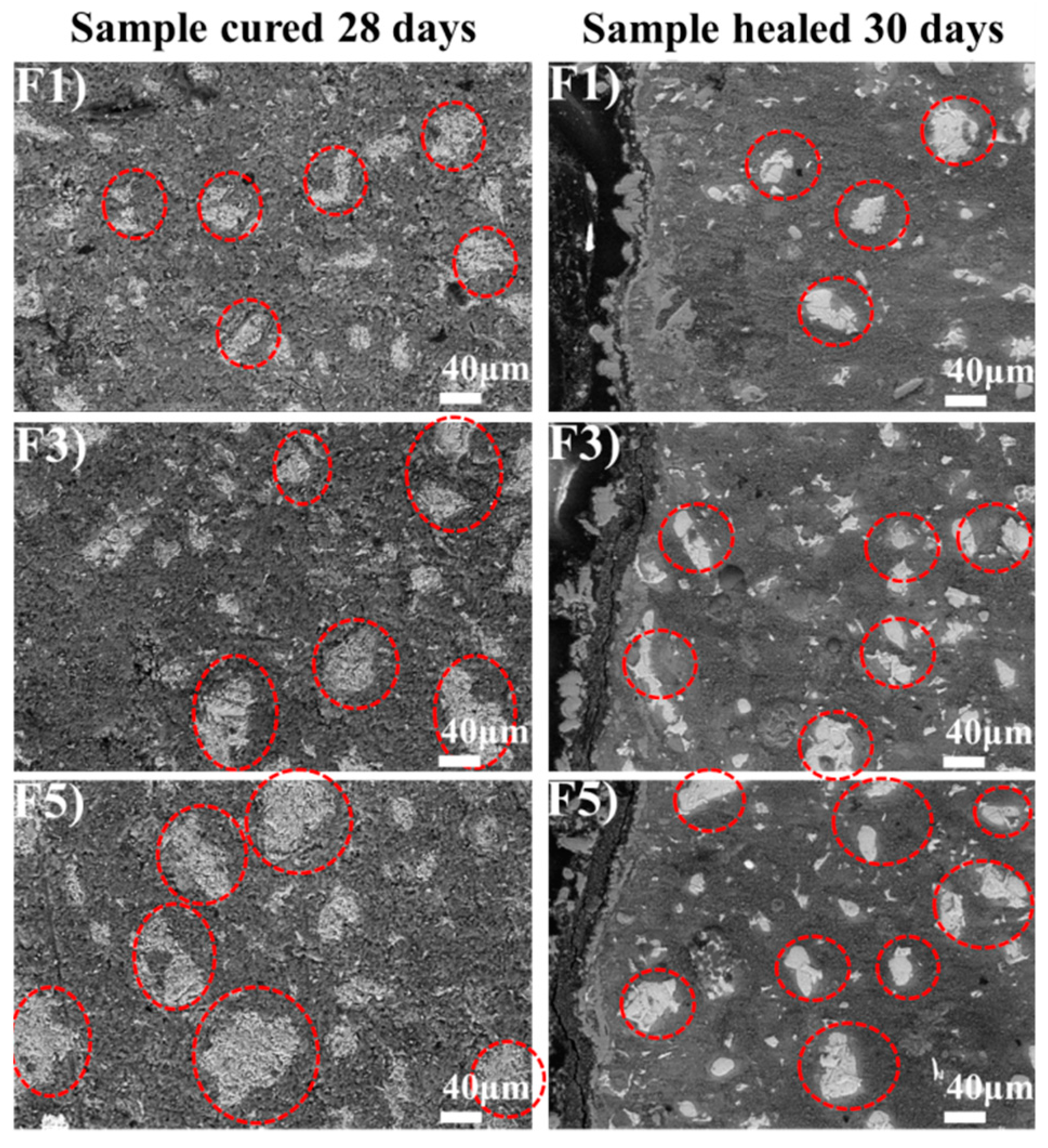 Materials 12 02818 g014 550