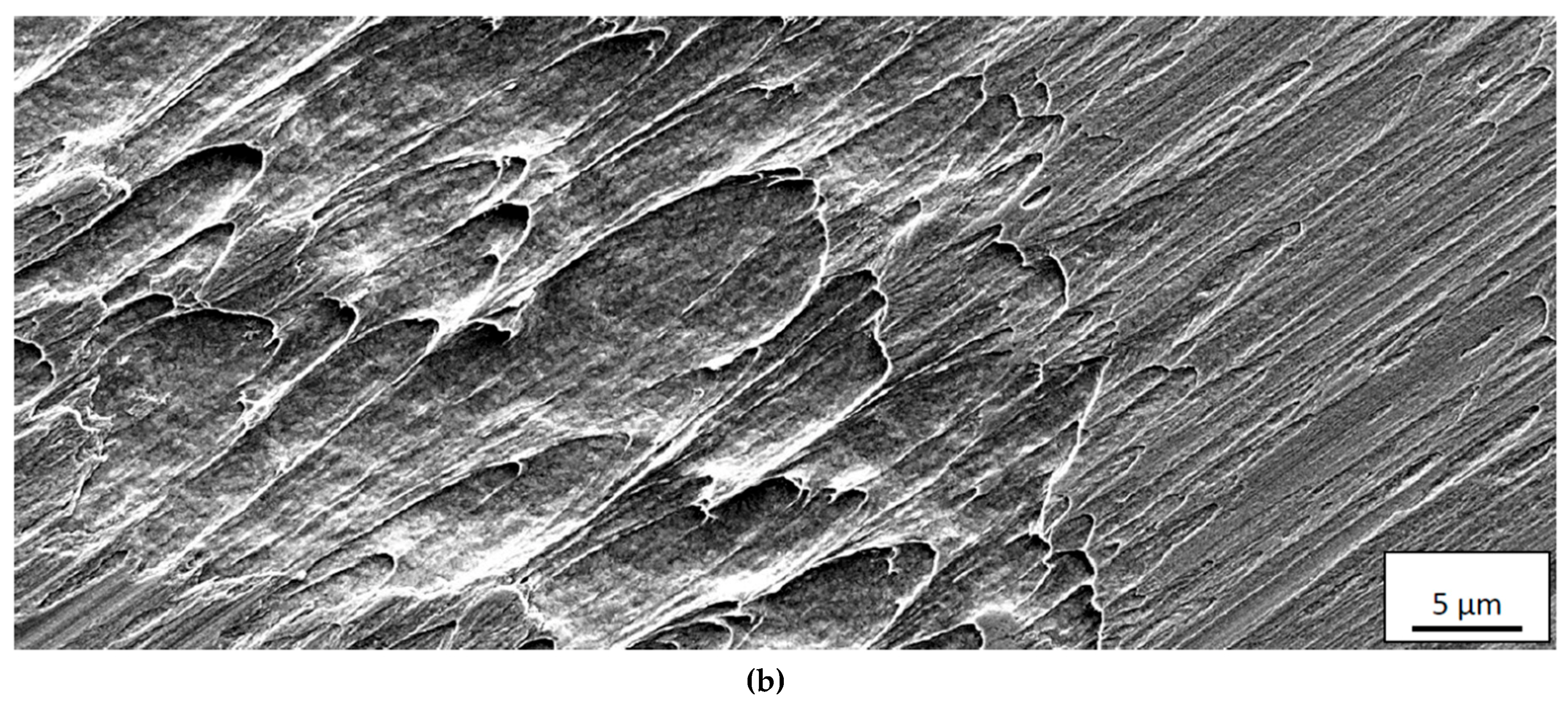 Materials 12 02822 g013b Materials 12 02822 g013b