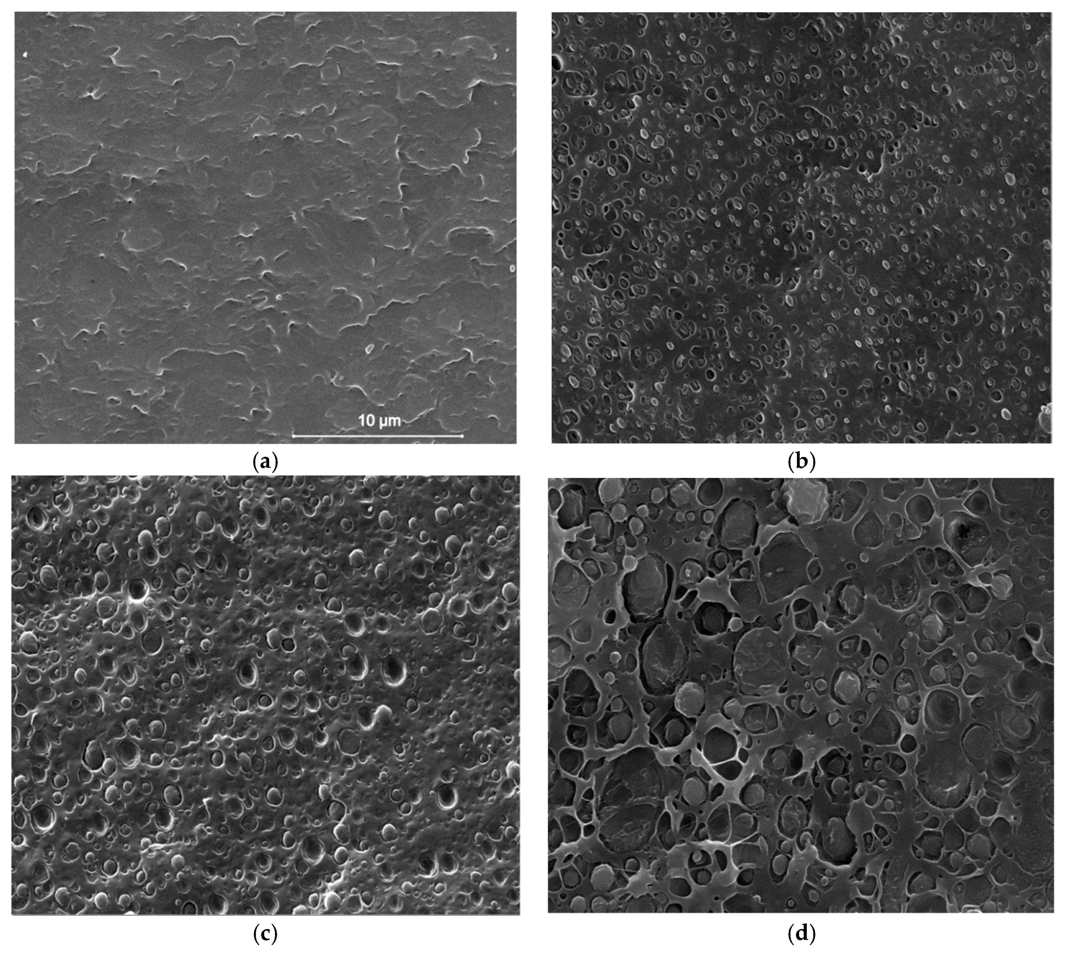 Materials 12 02833 g002