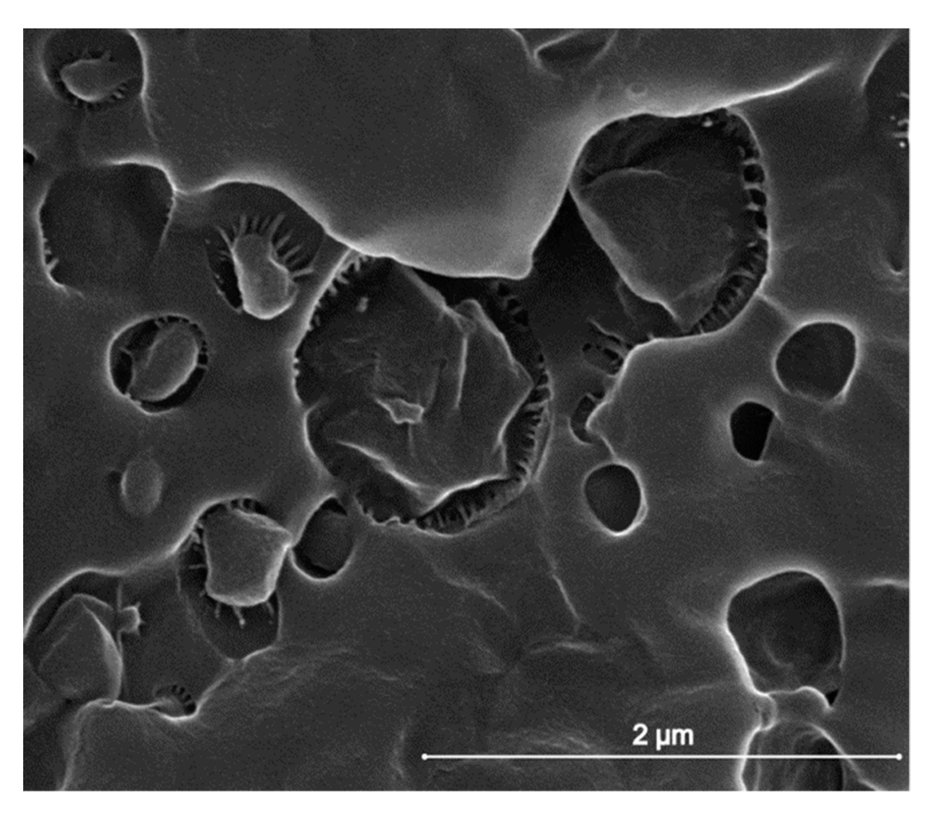 Materials 12 02833 g003