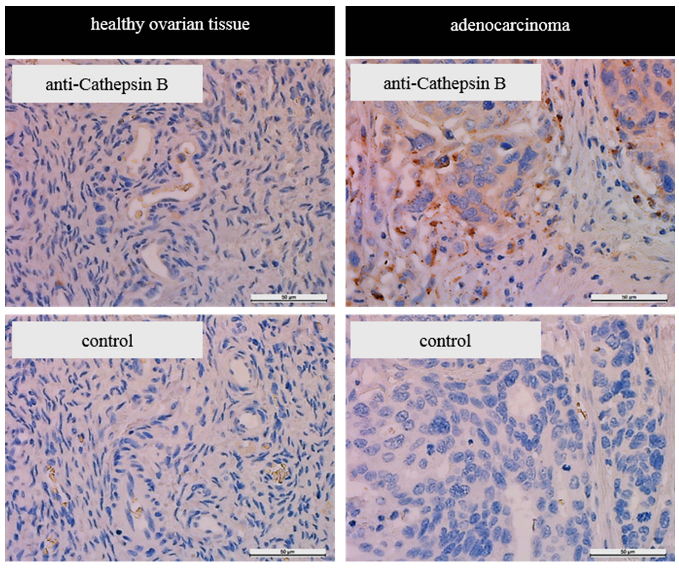 Materials 12 02836 g001