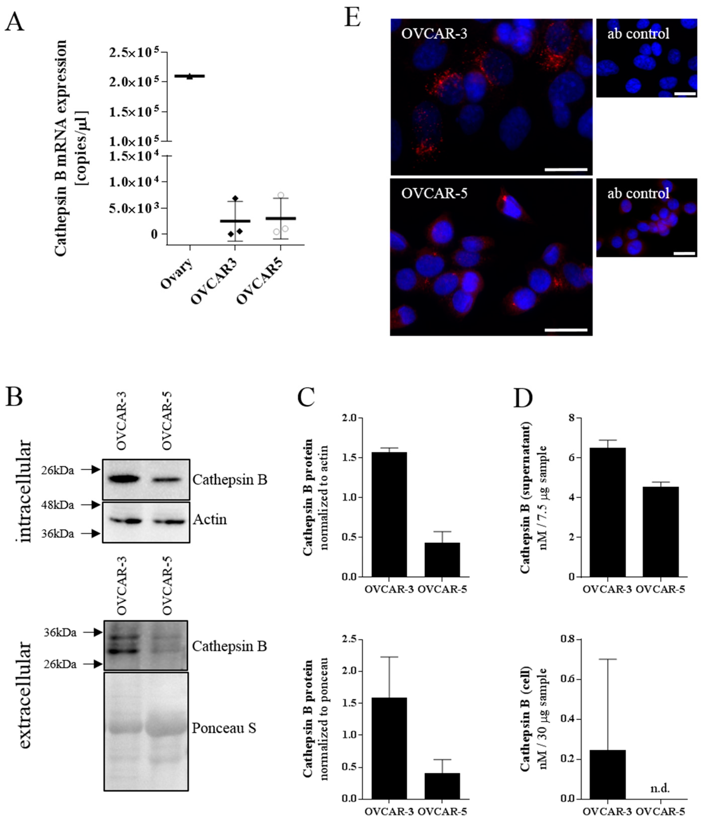Materials 12 02836 g002