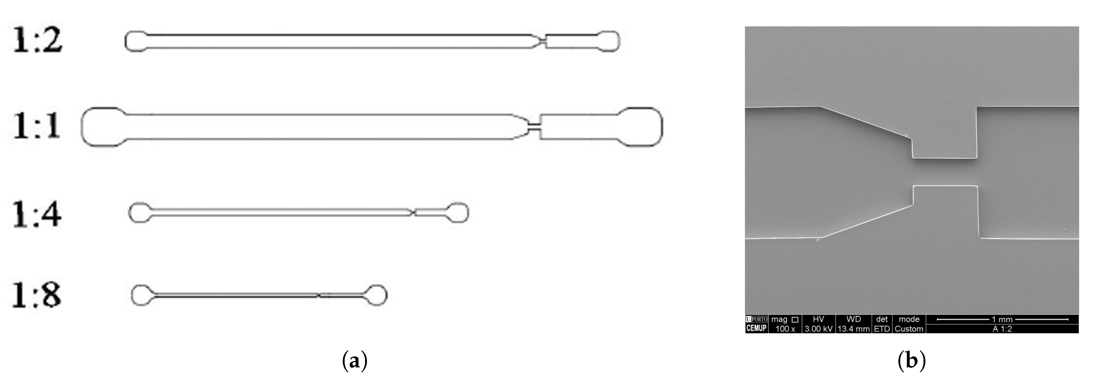 Materials 12 02839 g003