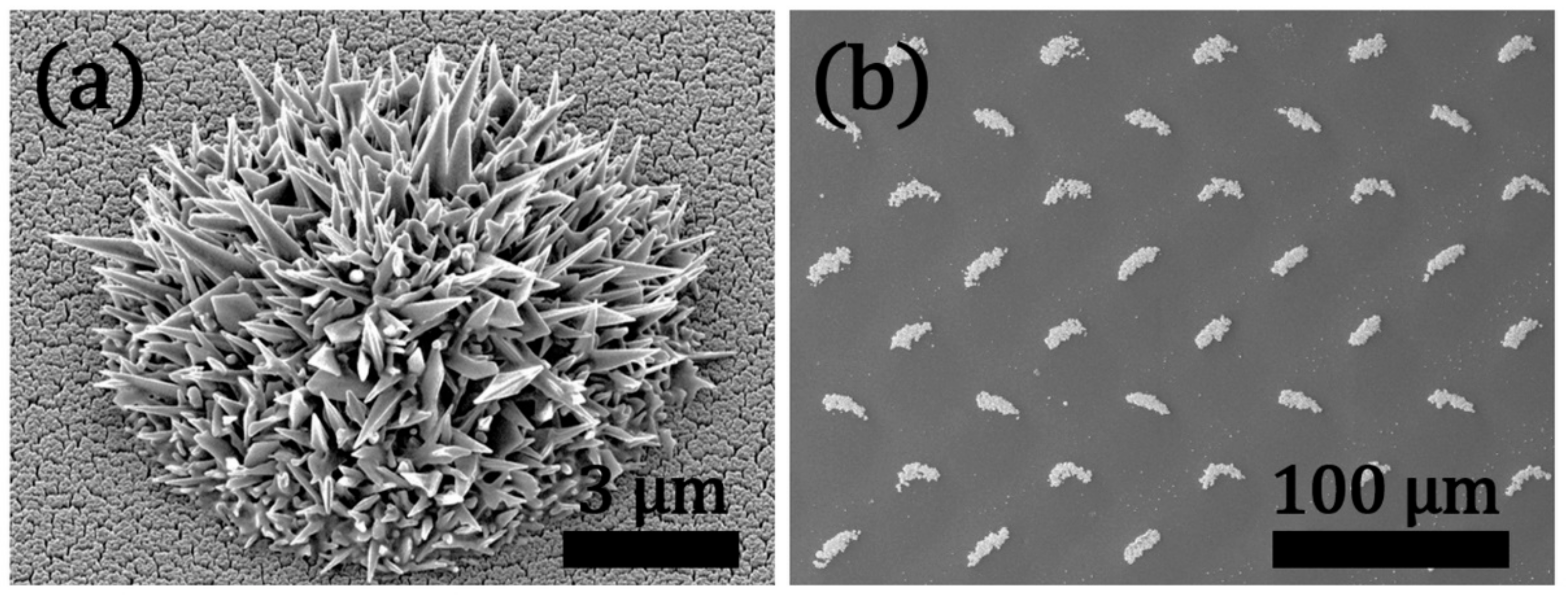 Materials 12 02840 g012