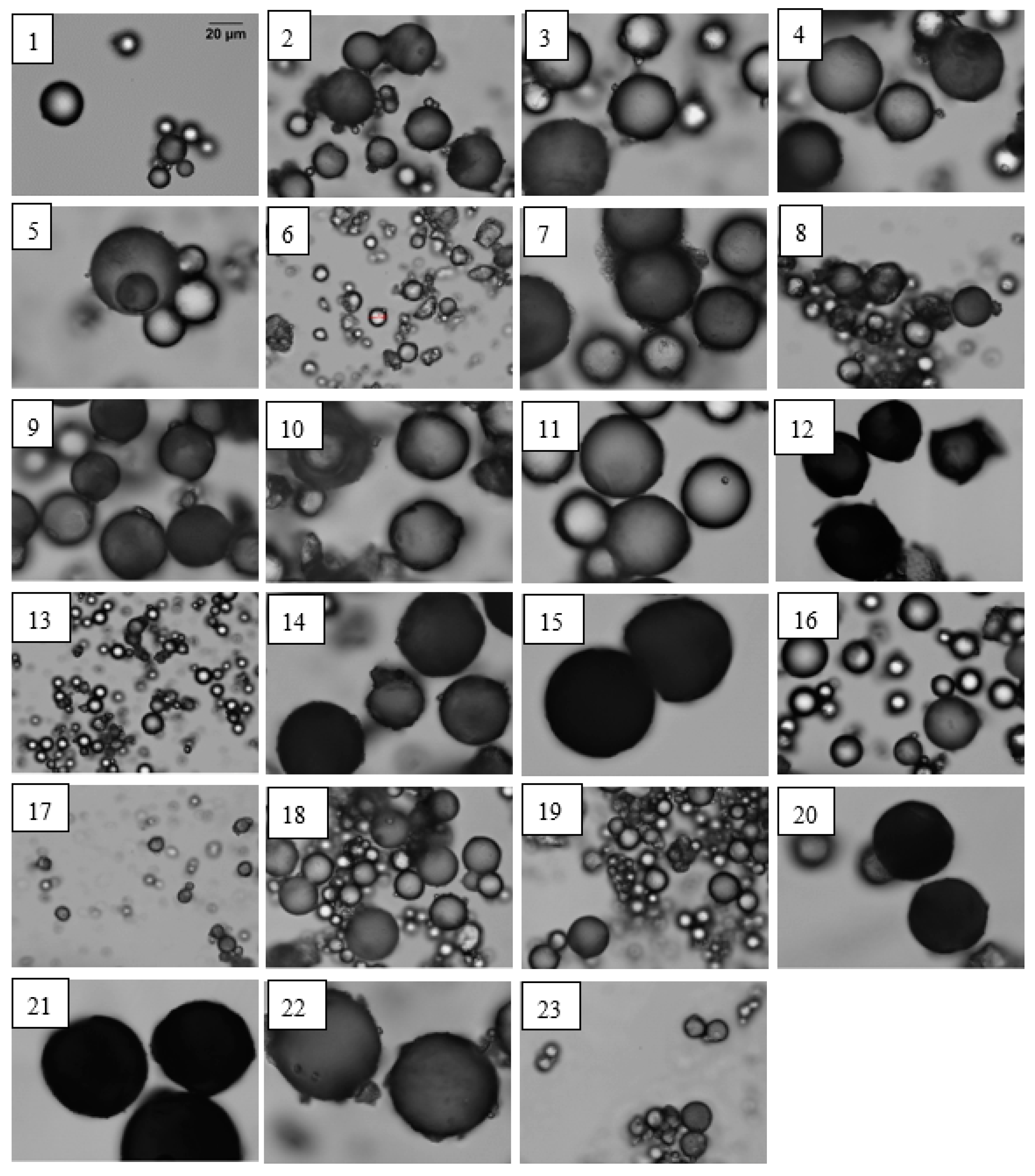 Materials 12 02847 g005 Materials 12 02847 g005