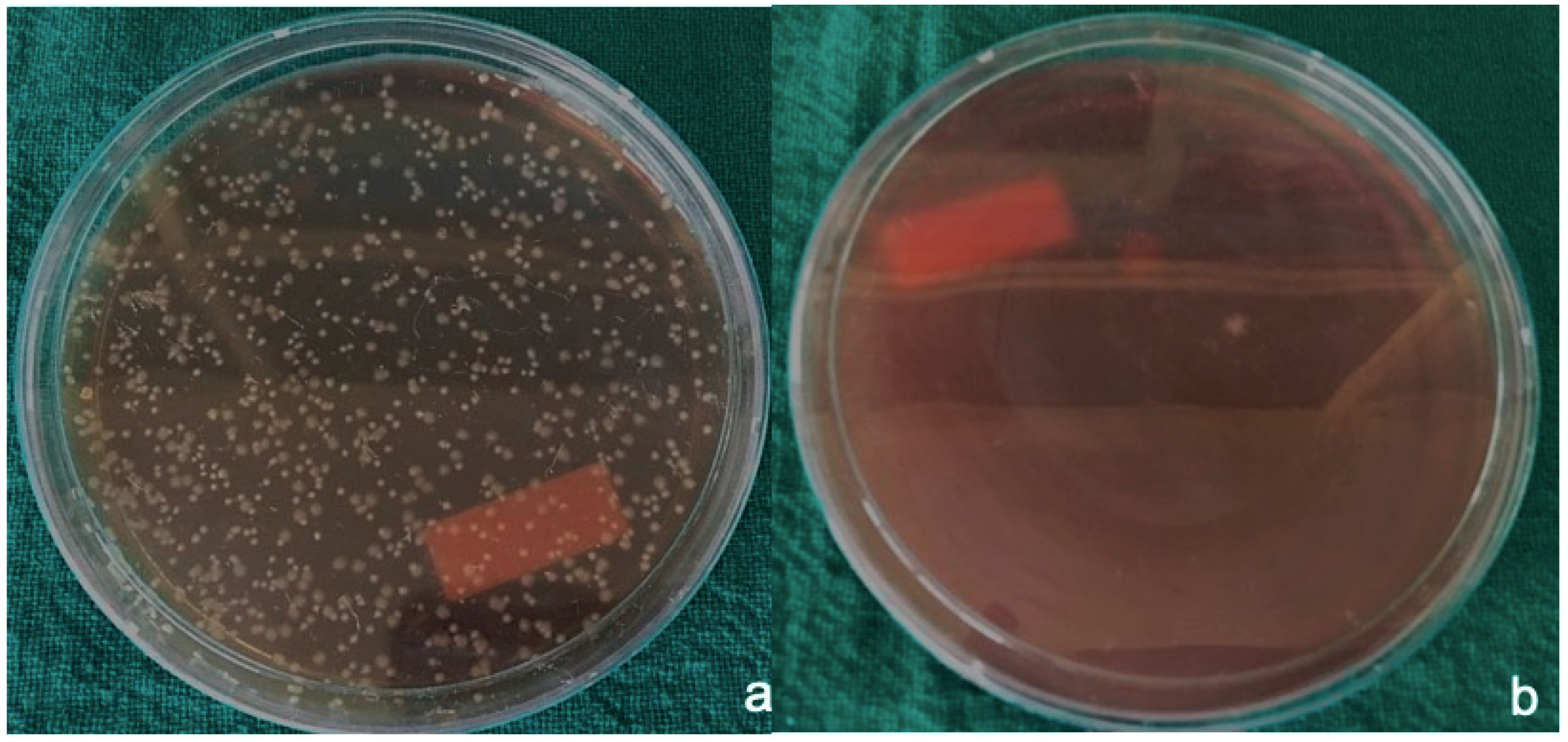 Materials 12 02848 g003 Materials 12 02848 g003