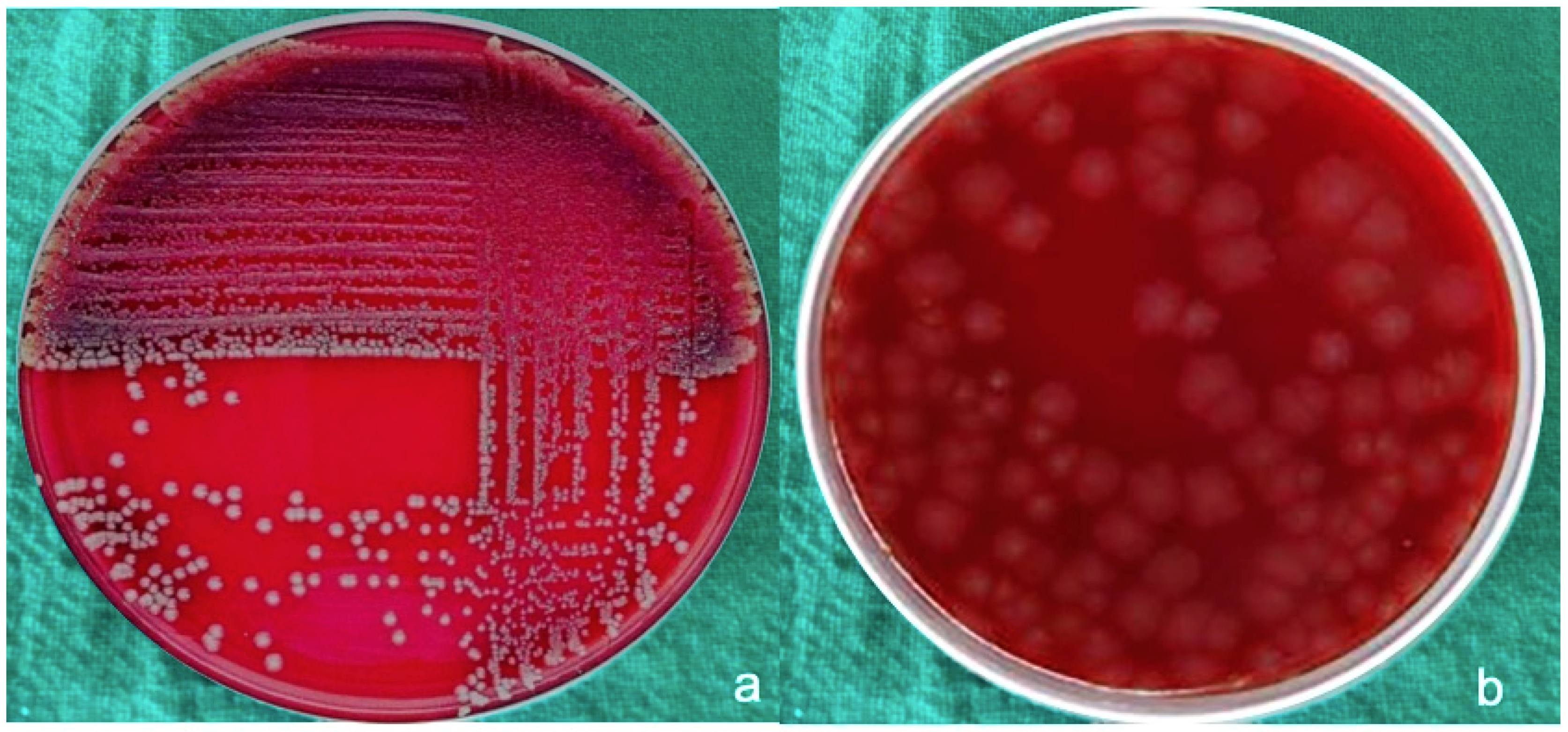 Materials 12 02848 g005 Materials 12 02848 g005