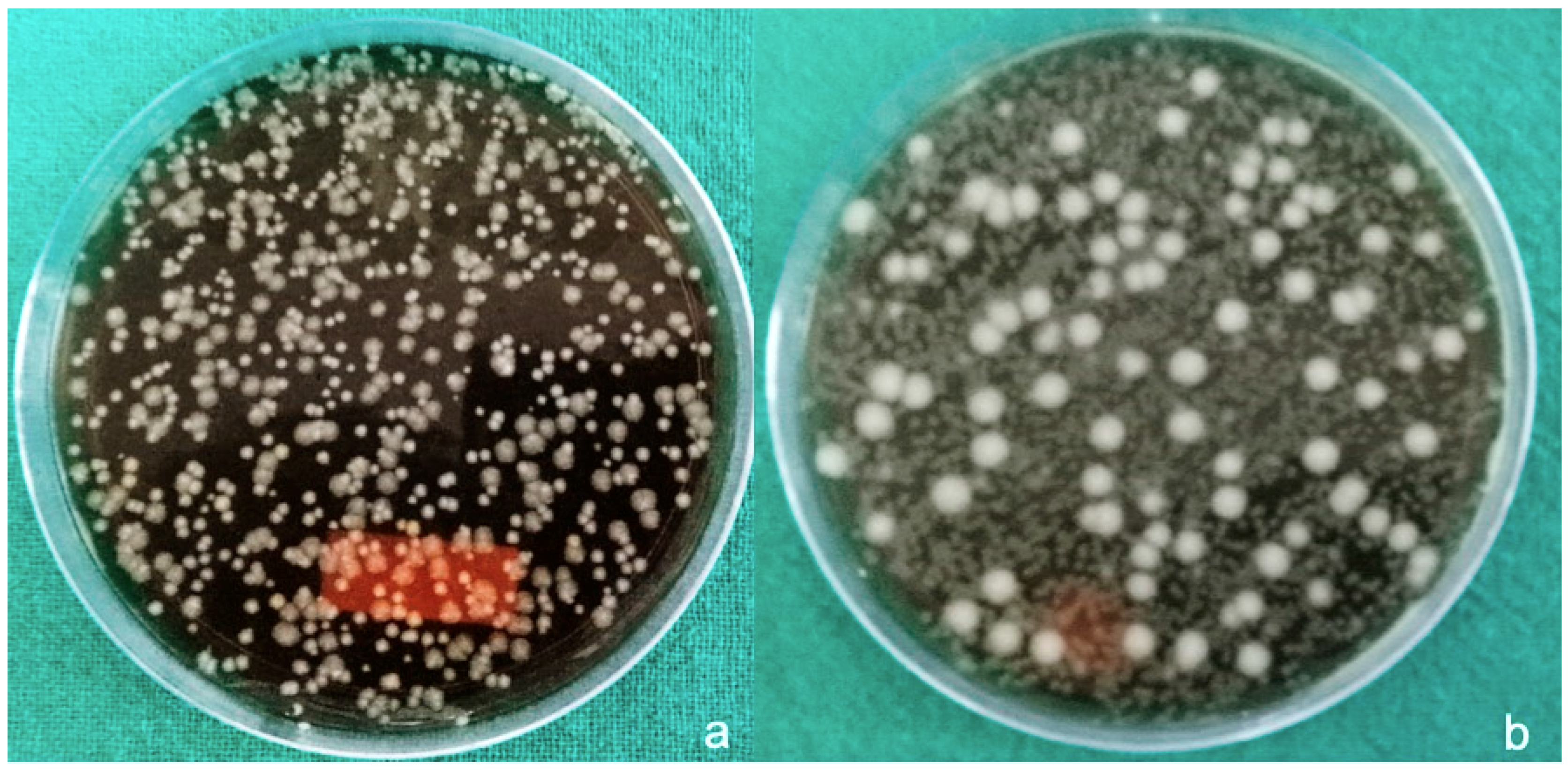 Materials 12 02848 g006 Materials 12 02848 g006