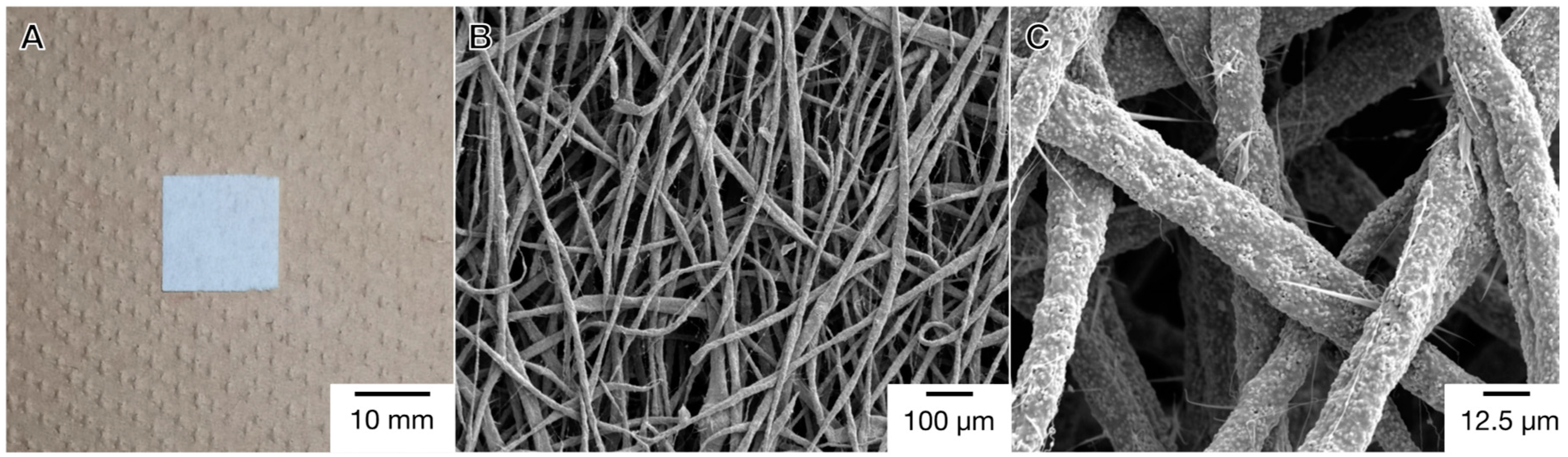 Materials 12 02869 g001