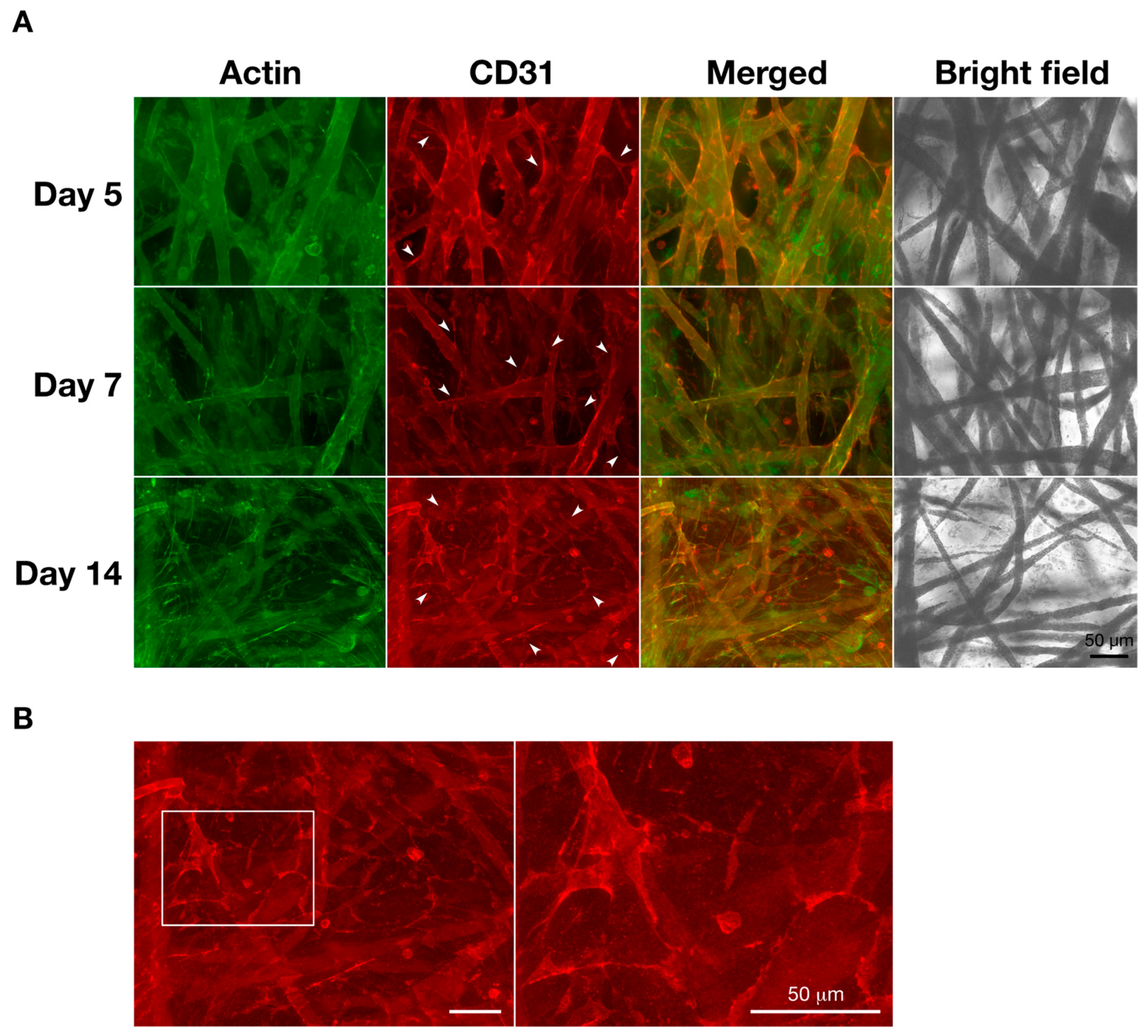 Materials 12 02869 g007