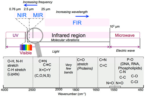 Materials Free Full Text Vibrational Spectroscopy Fingerprinting In Medicine From Molecular To Clinical Practice Html