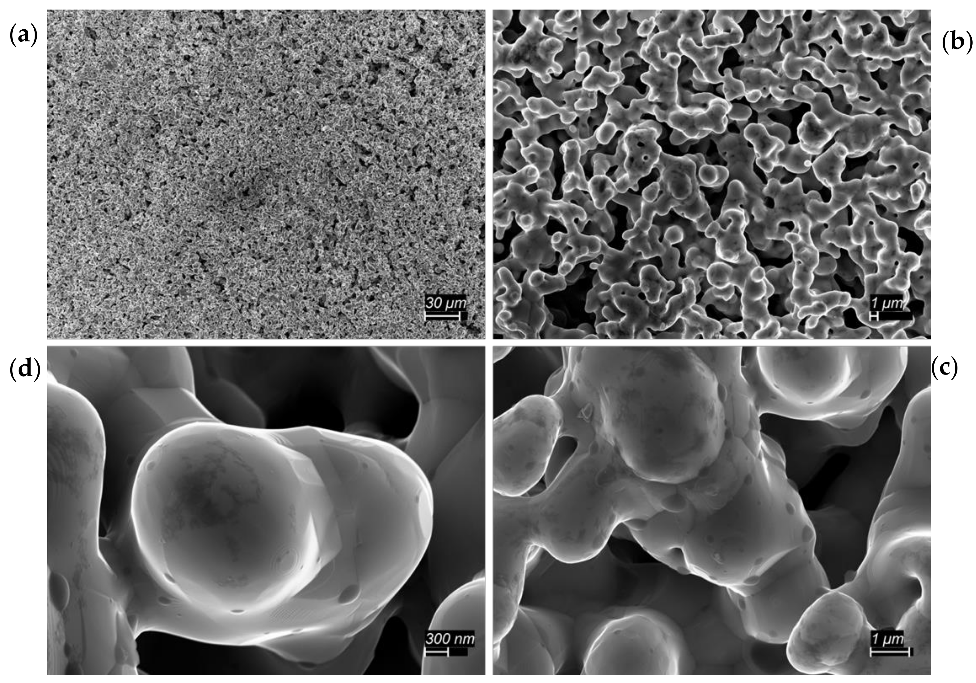 Materials 12 02890 g005 550