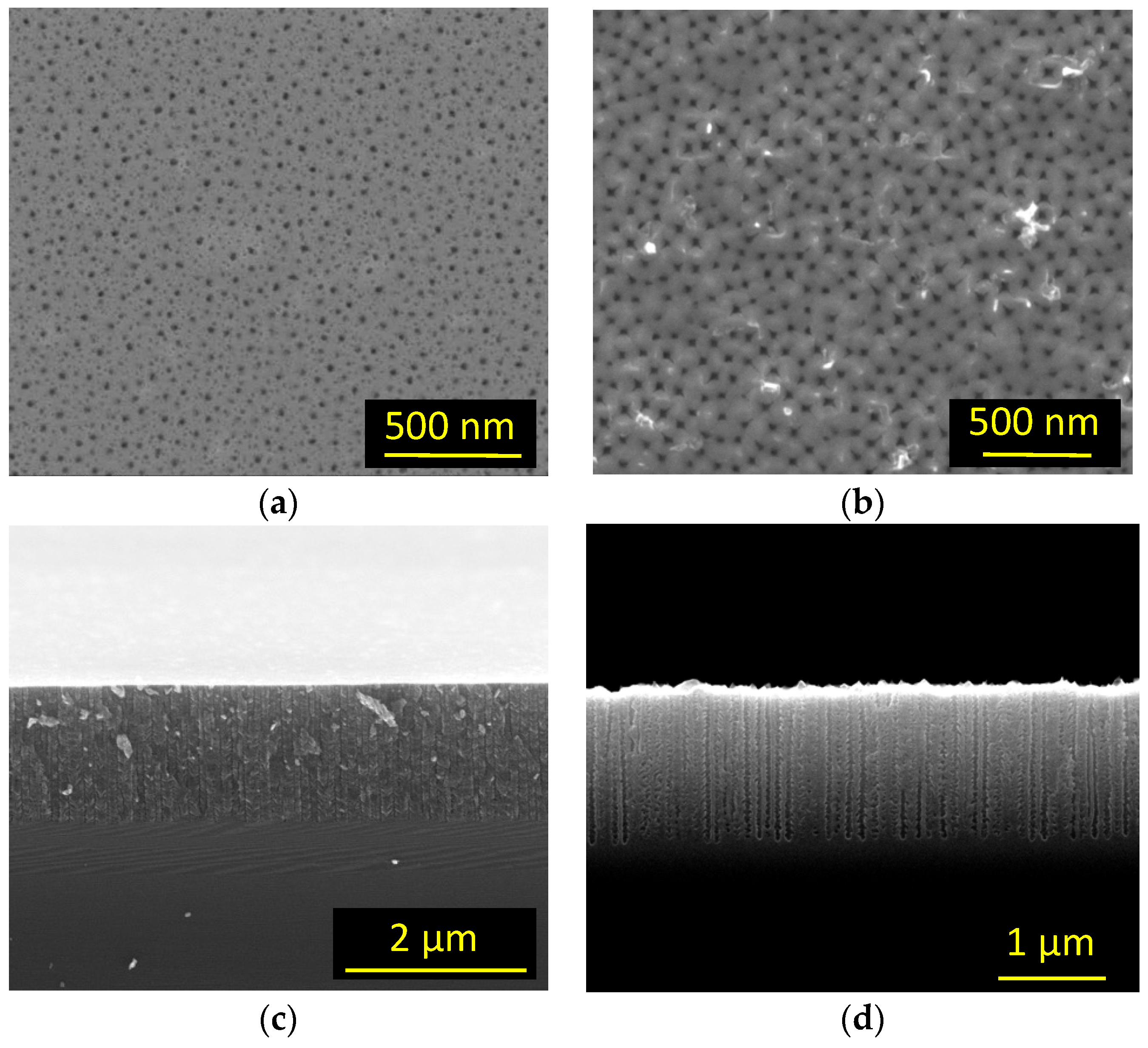 Materials 12 02891 g004 550