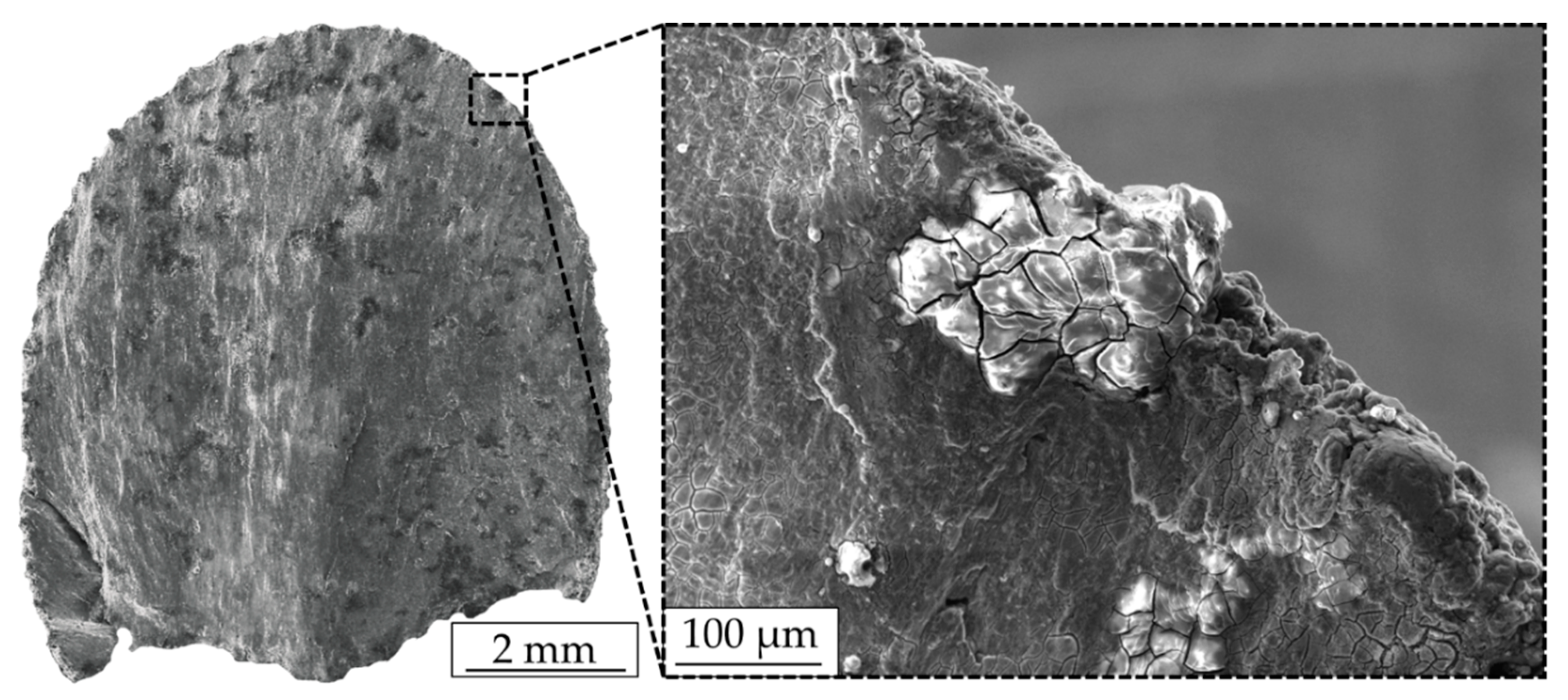 Materials 12 02892 g021