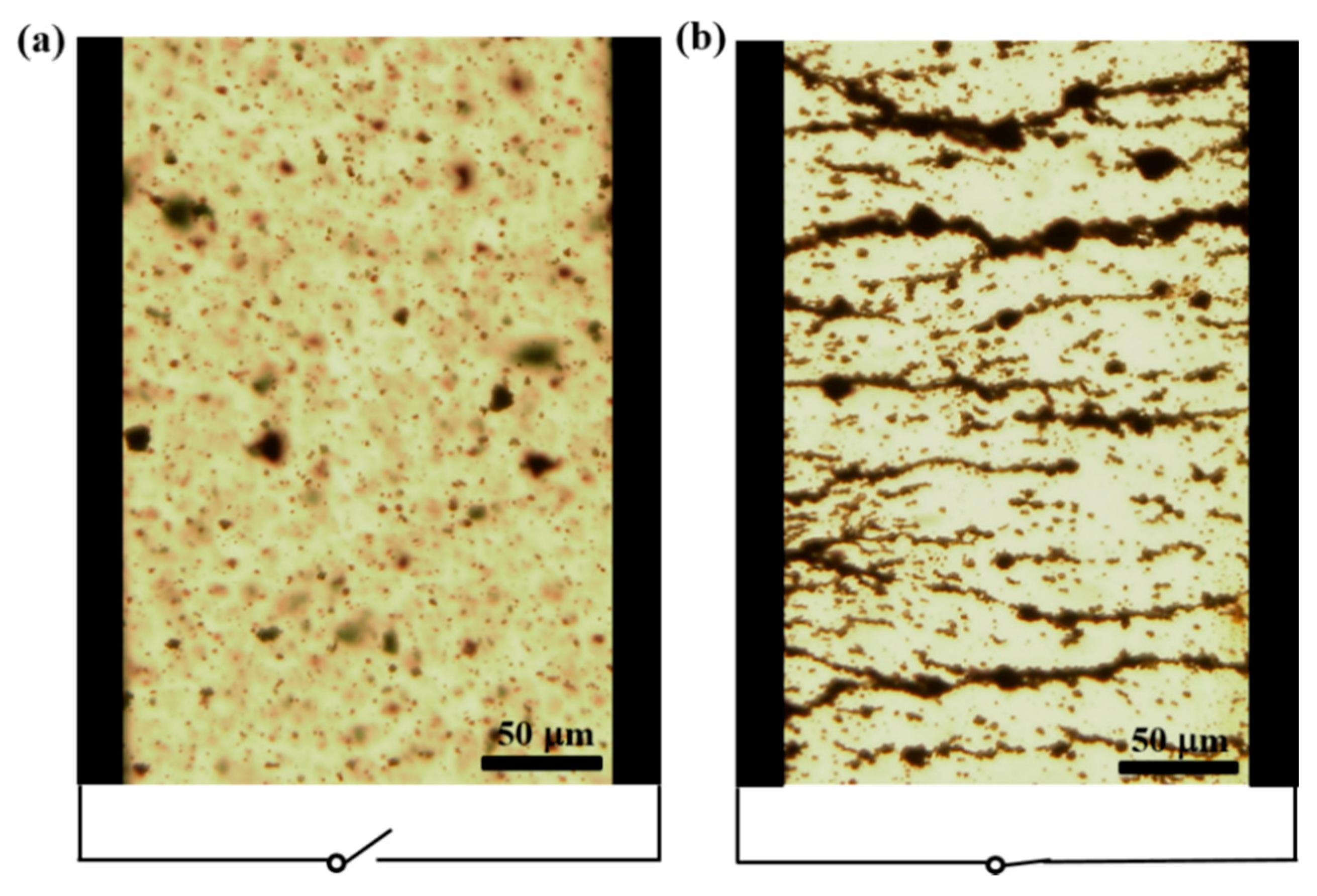 Materials 12 02911 g003