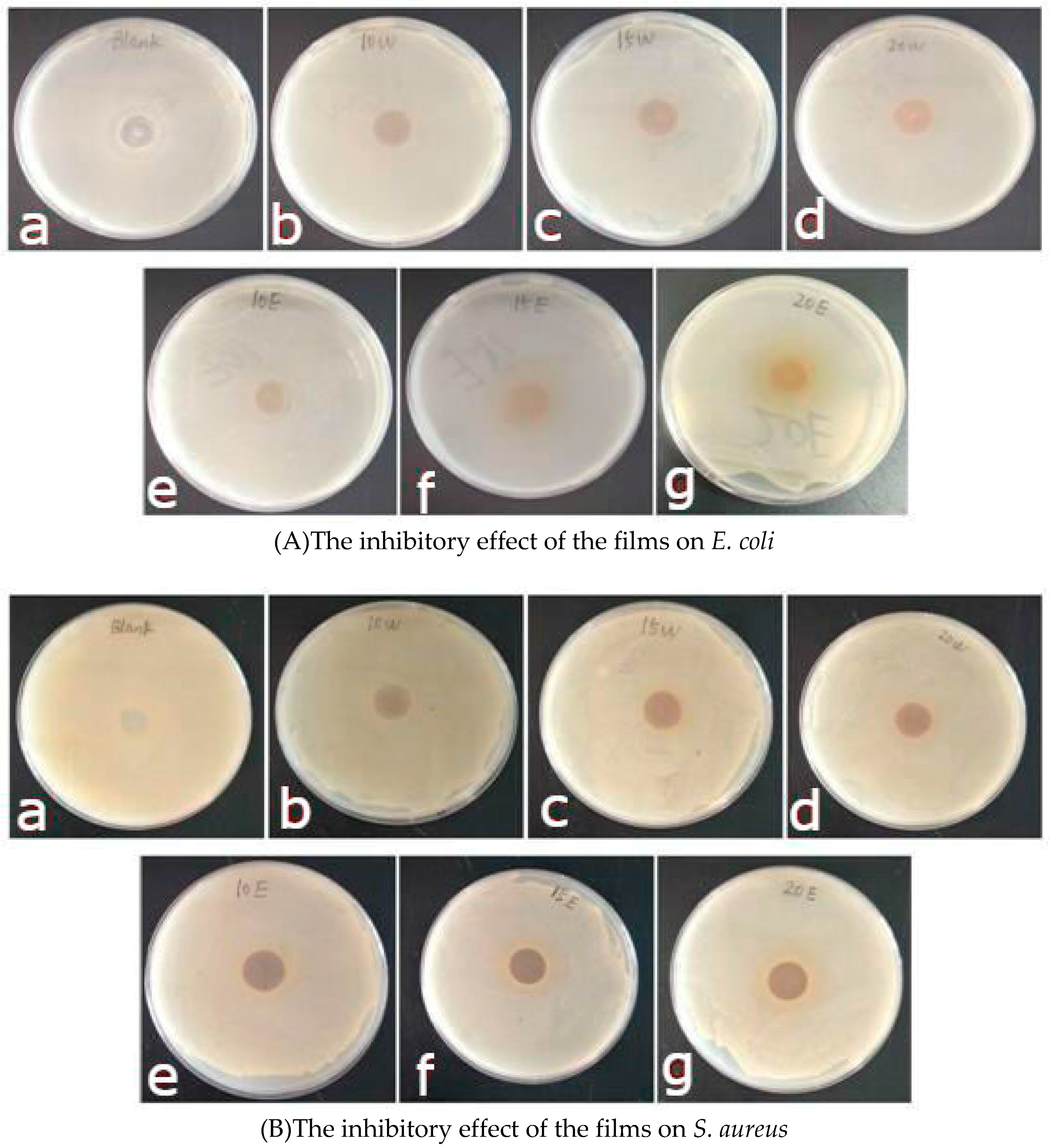 Materials 12 02923 g006 Materials 12 02923 g006