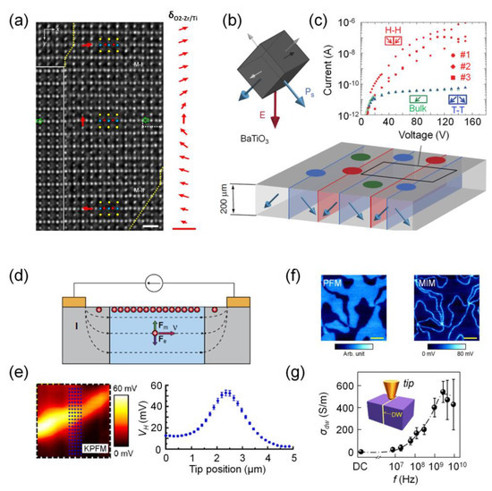 Granular Nanoelectronics