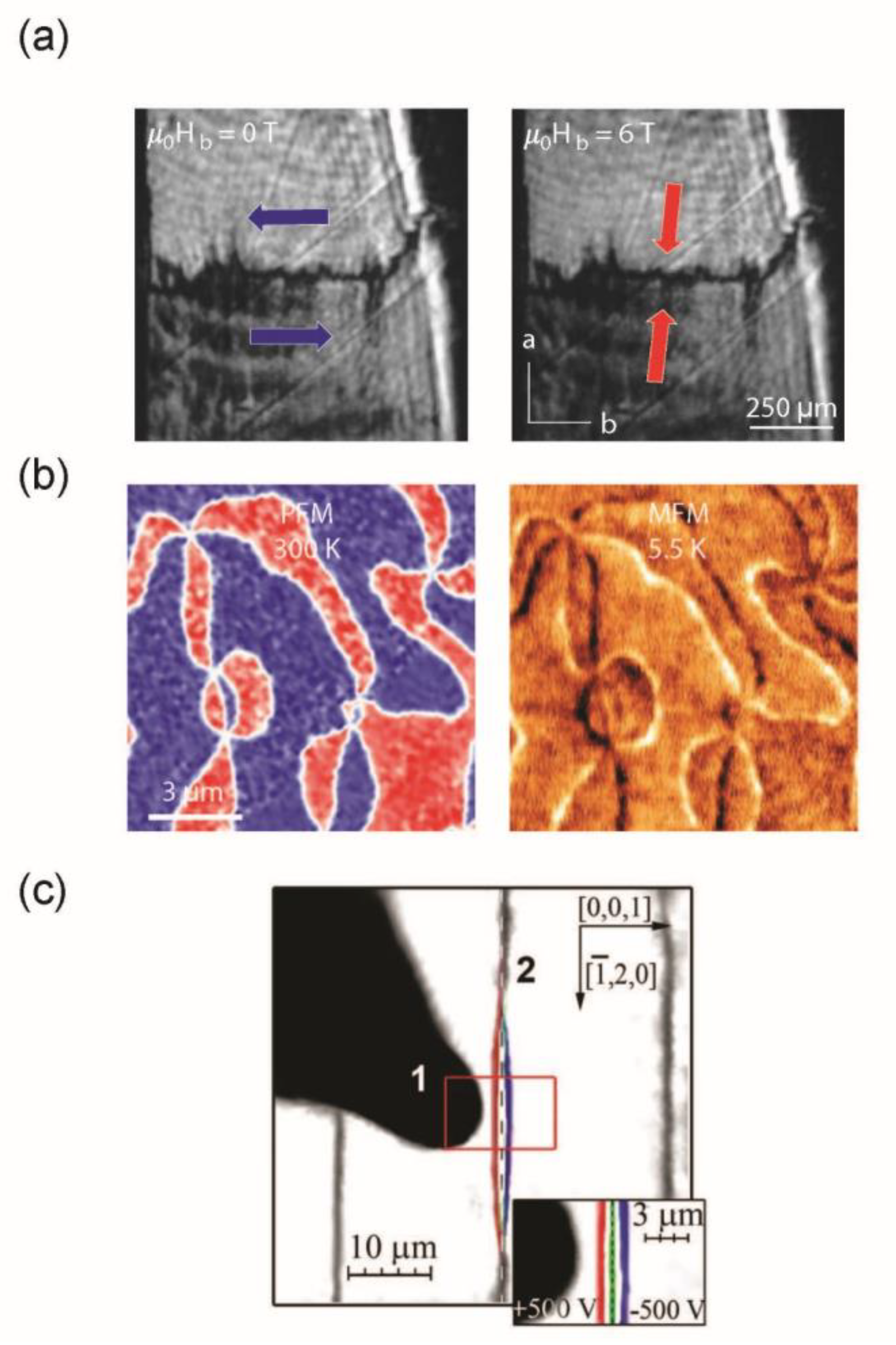 Materials 12 02927 g003