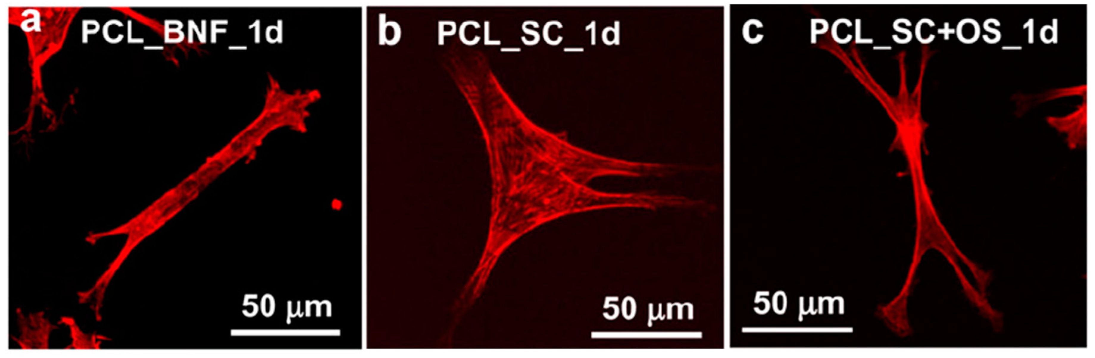 Materials 12 02950 g003