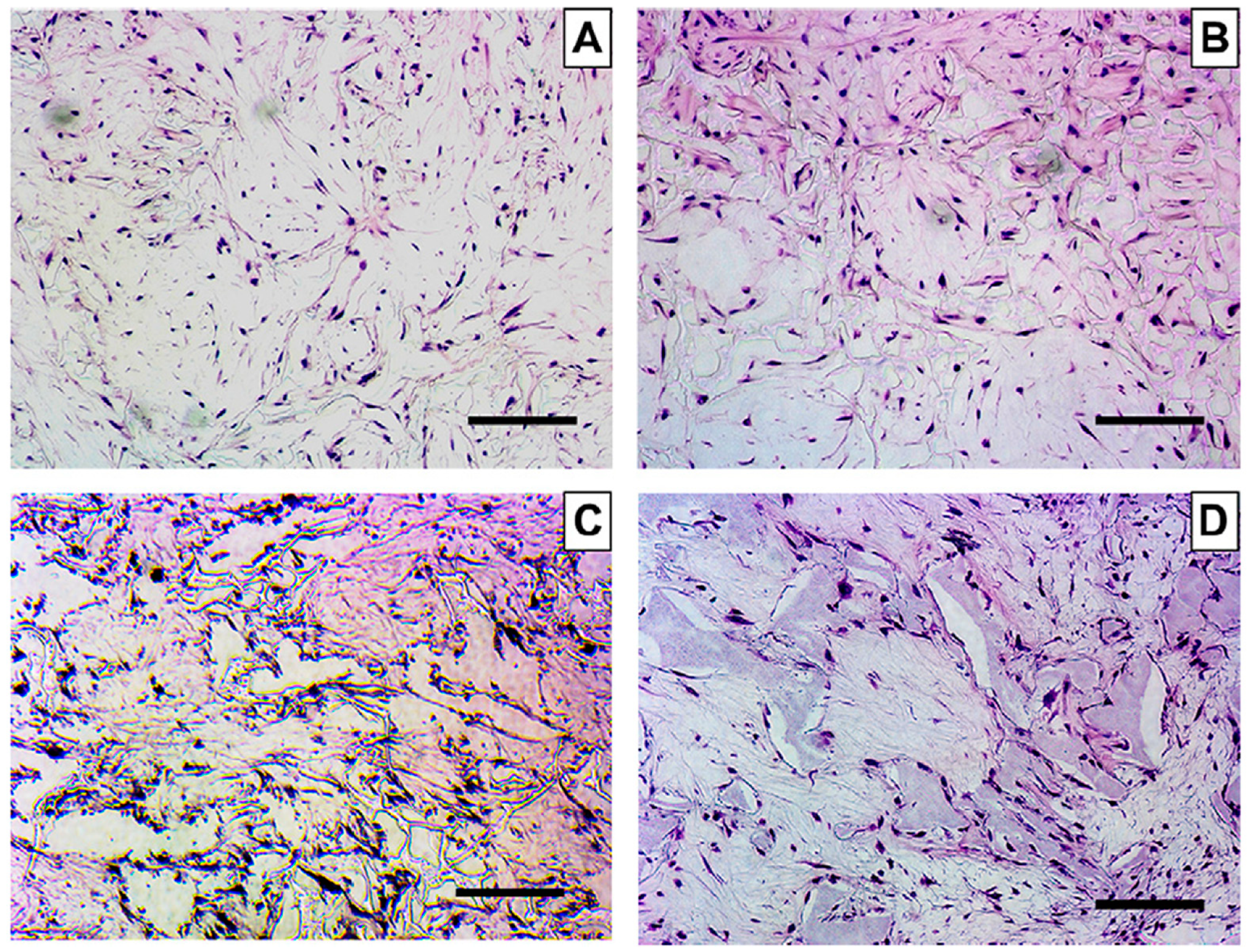 Materials 12 02950 g004