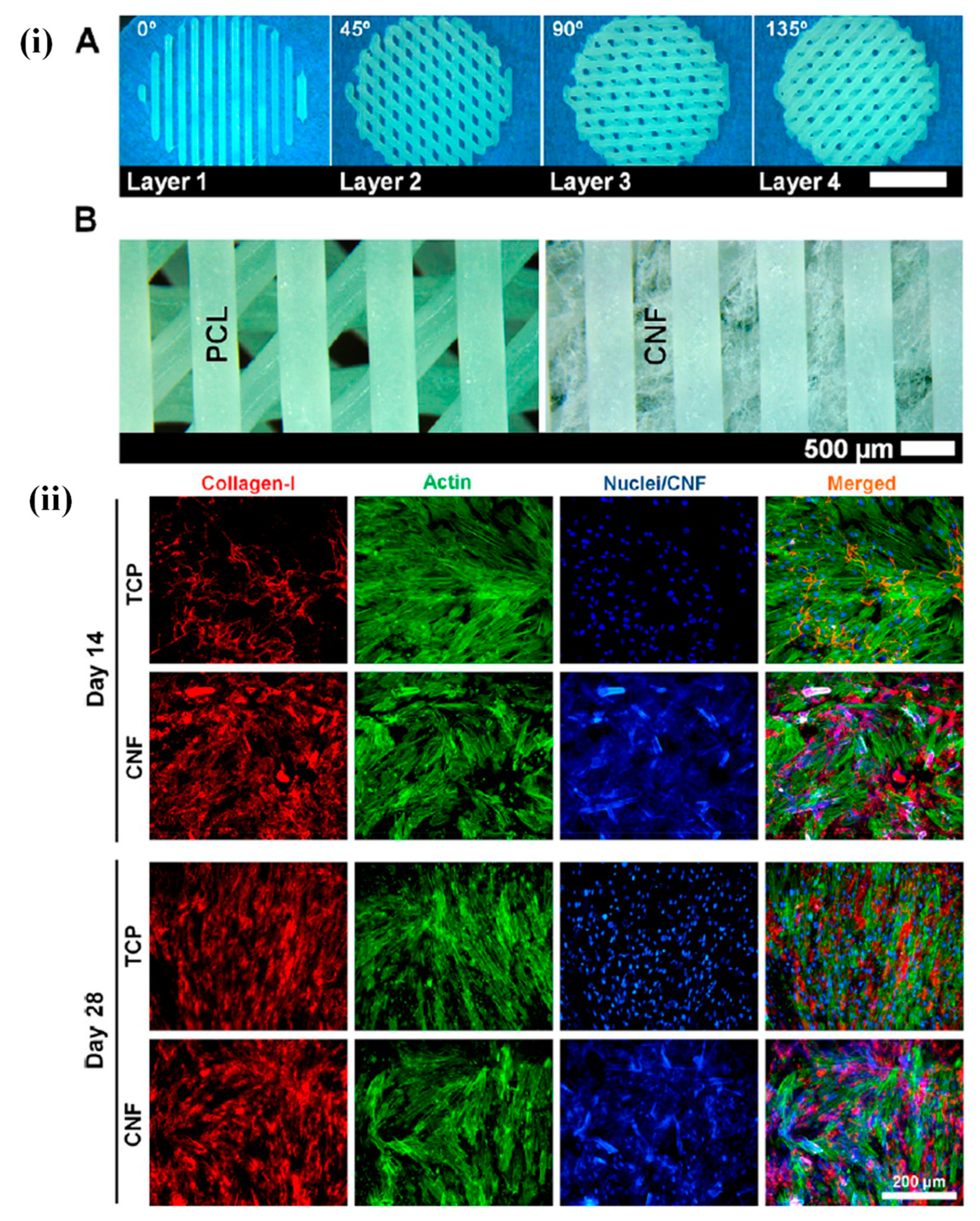 Materials 12 02950 g005