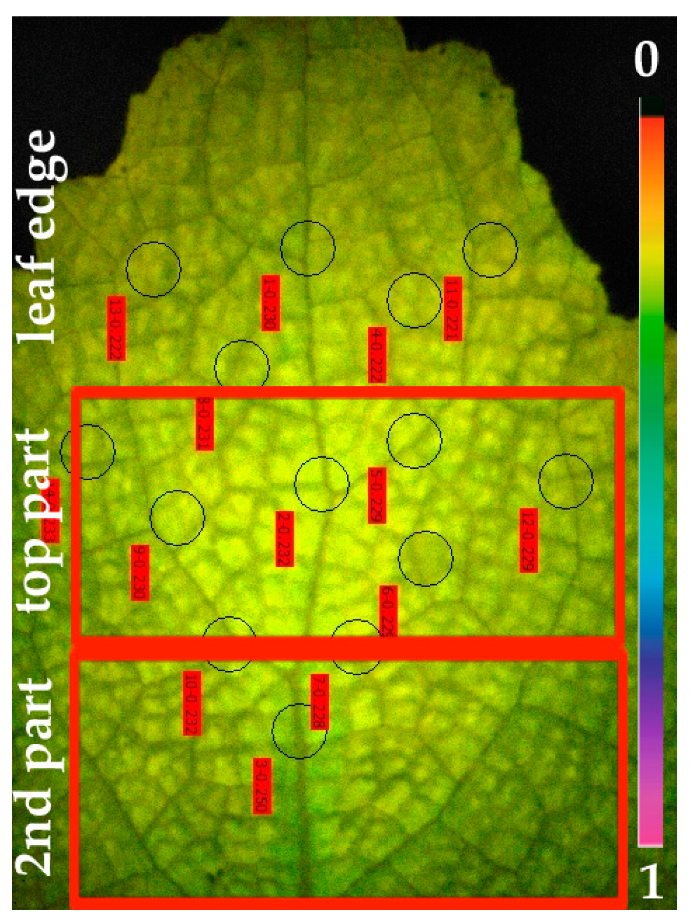Materials 12 02953 g002 Materials 12 02953 g002