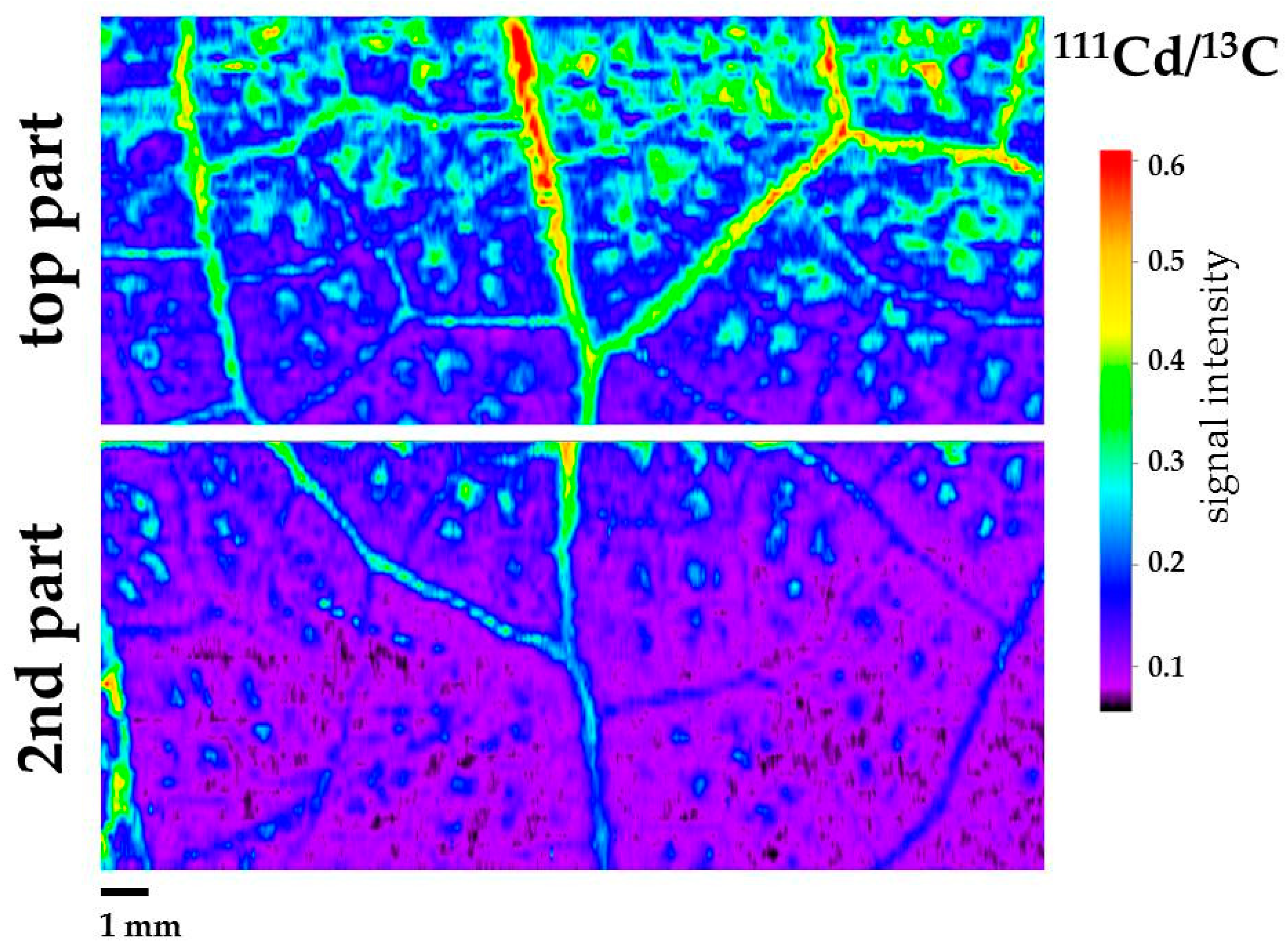 Materials 12 02953 g003 Materials 12 02953 g003