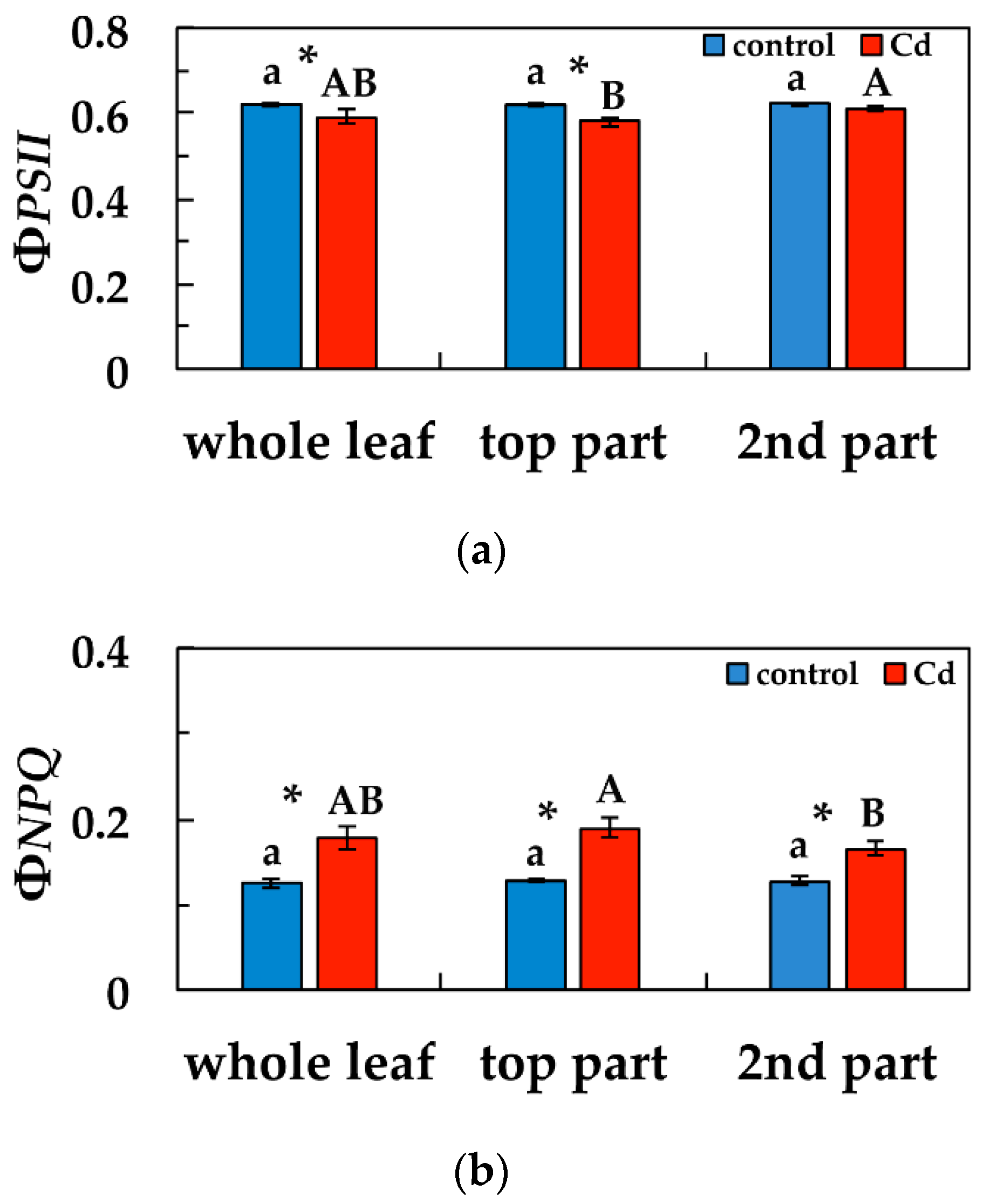 Materials 12 02953 g004 Materials 12 02953 g004