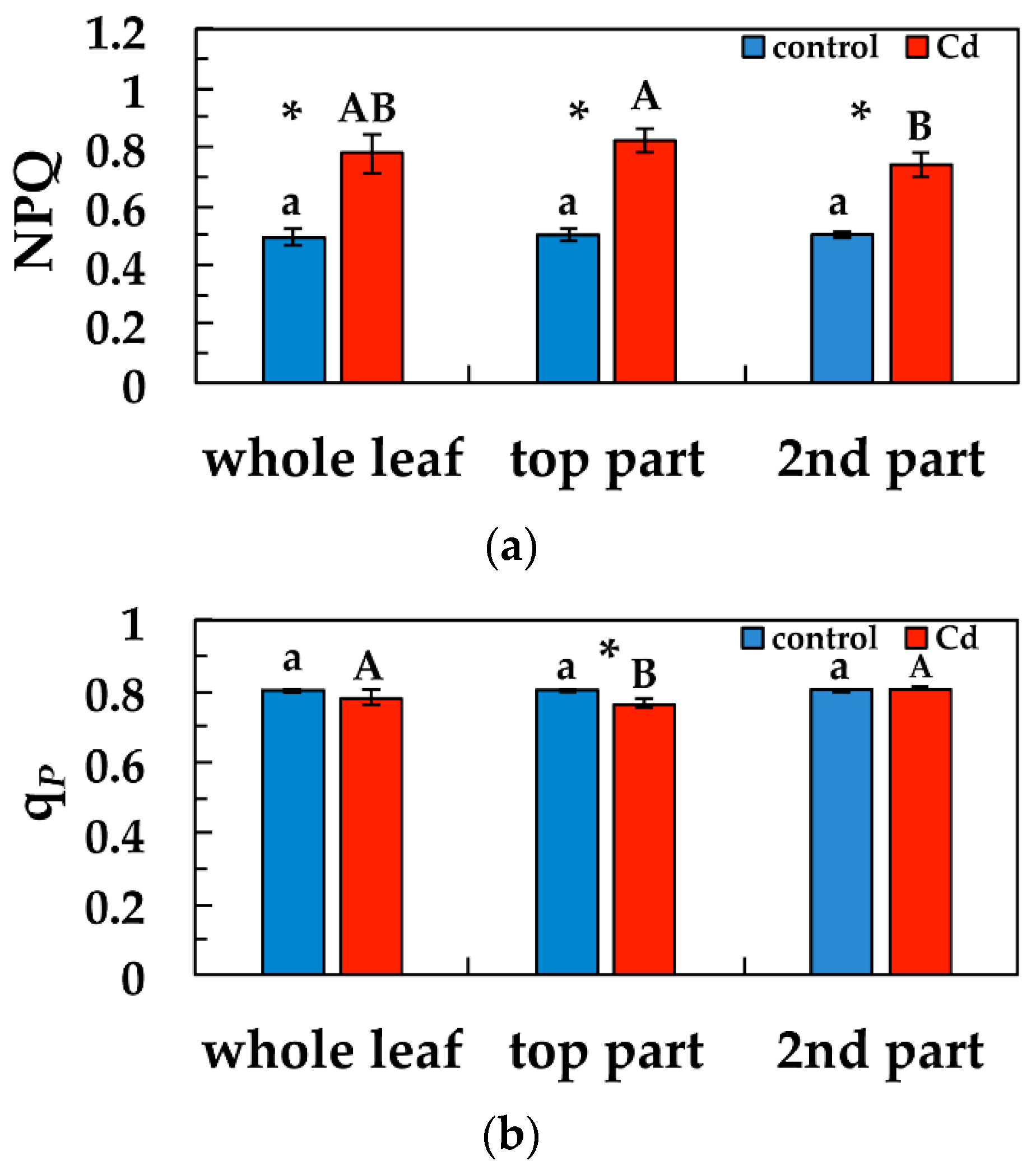 Materials 12 02953 g006 Materials 12 02953 g006