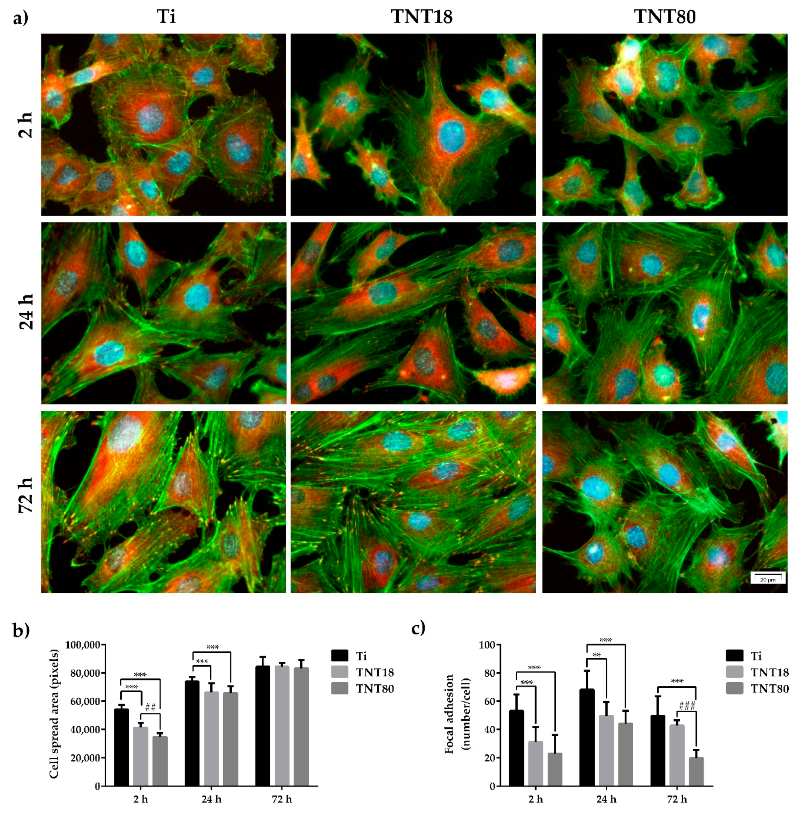 Materials 12 02956 g003