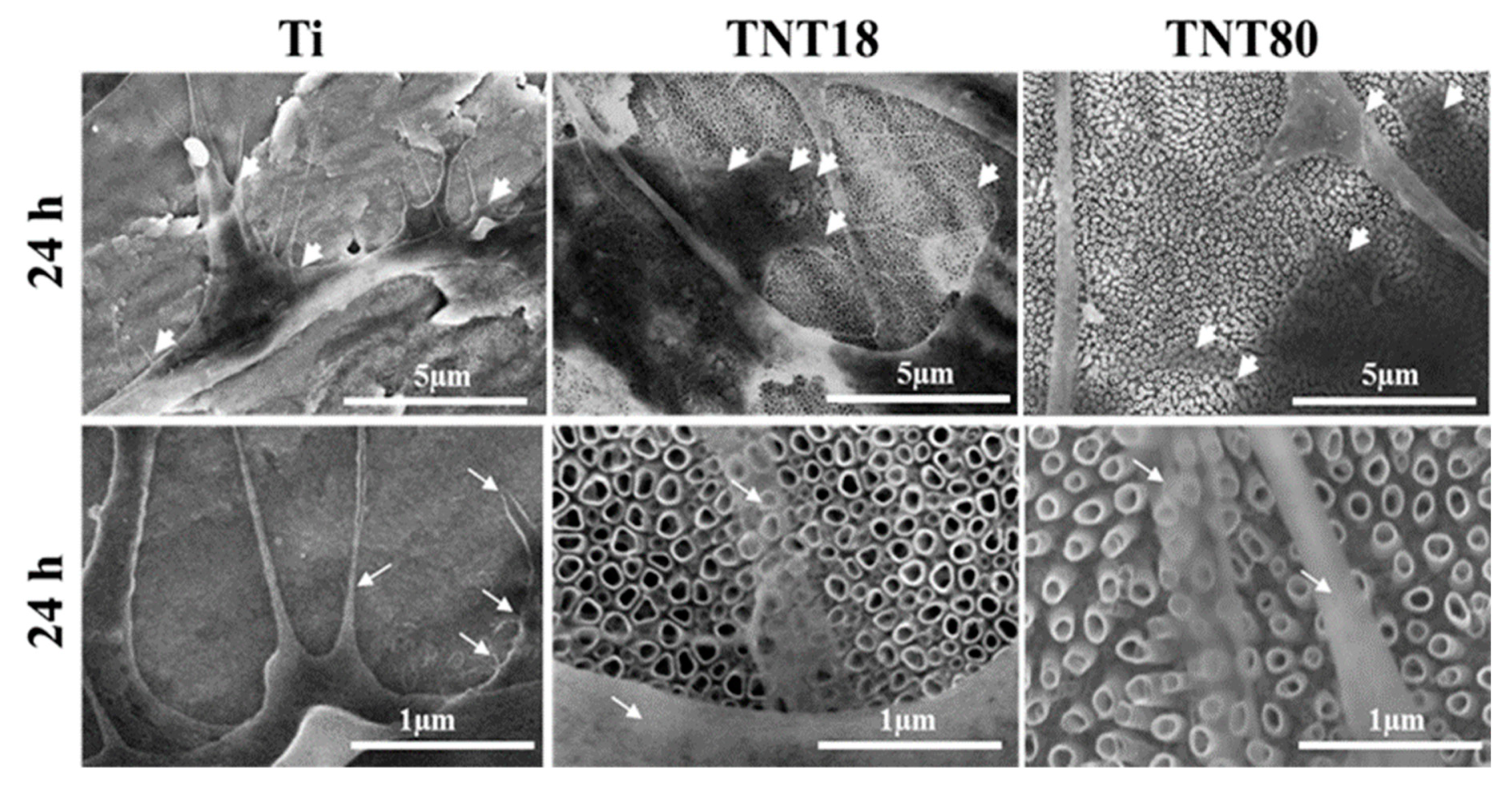 Materials 12 02956 g004