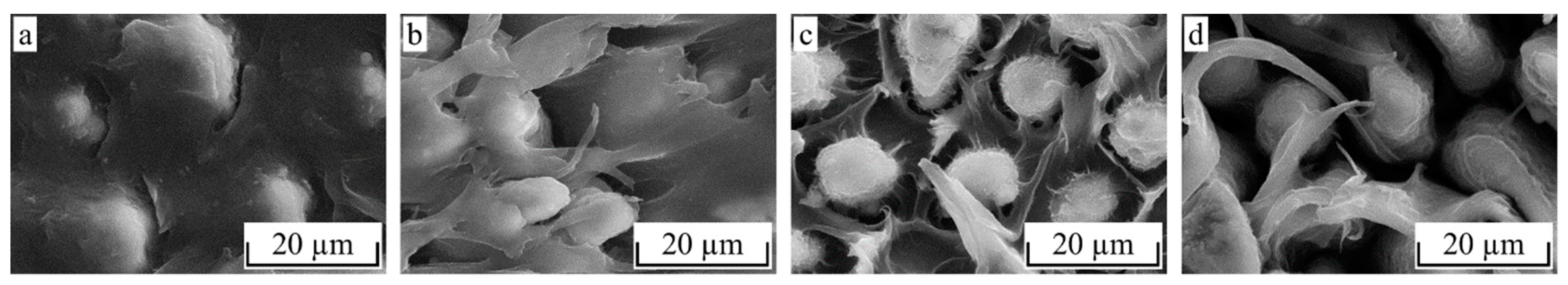 Materials 12 02963 g016