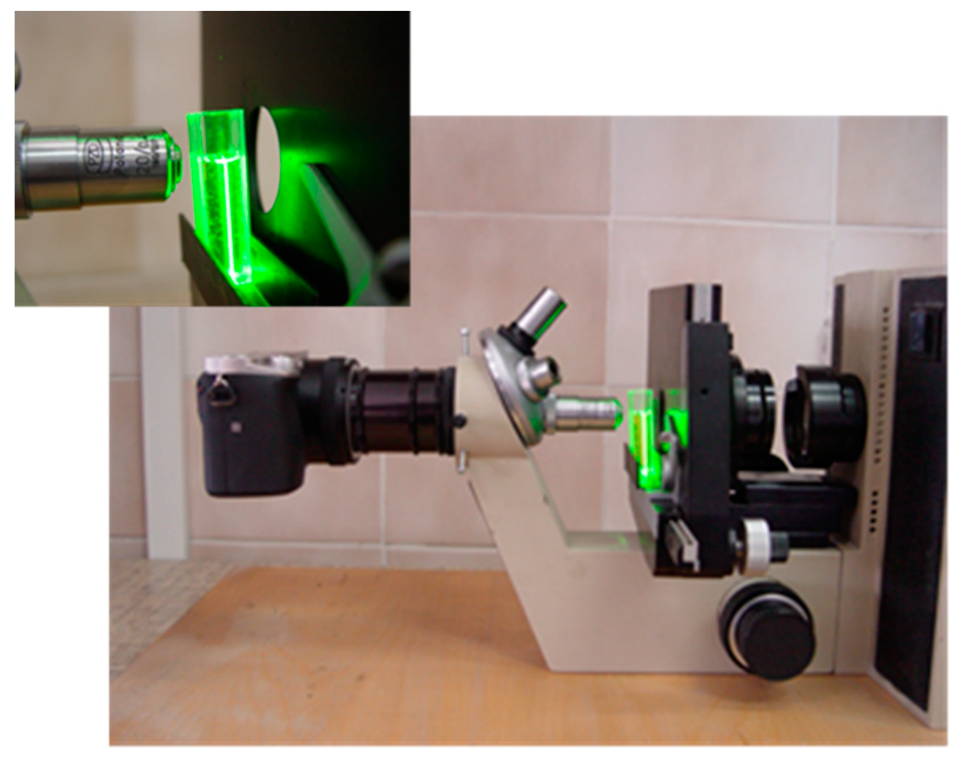 Materials 12 02981 g001