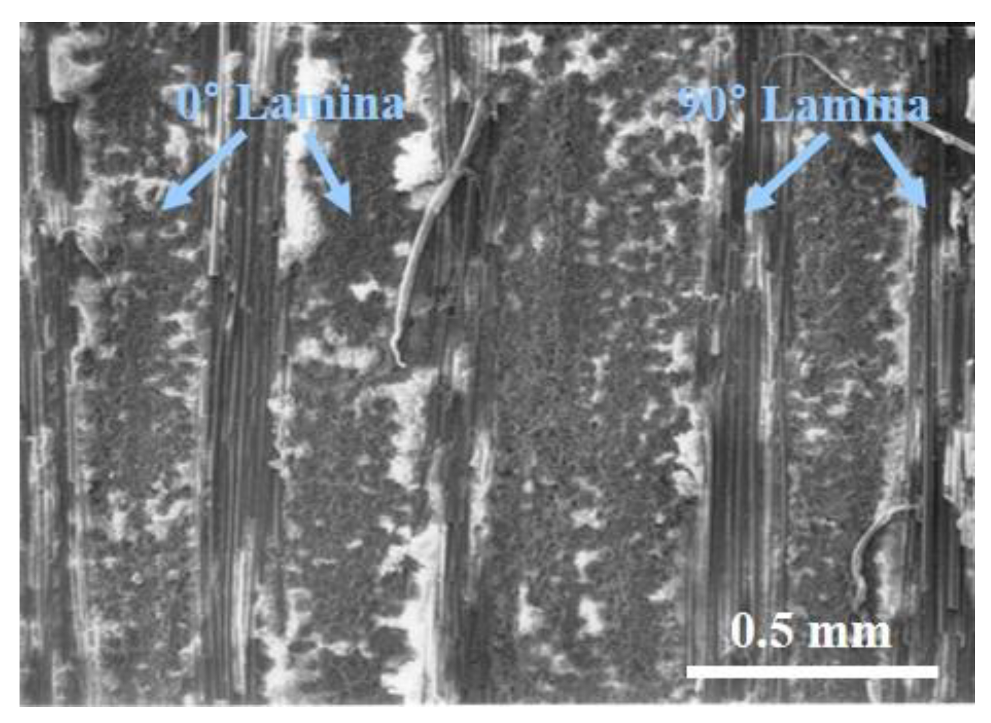 Materials 12 02997 g002