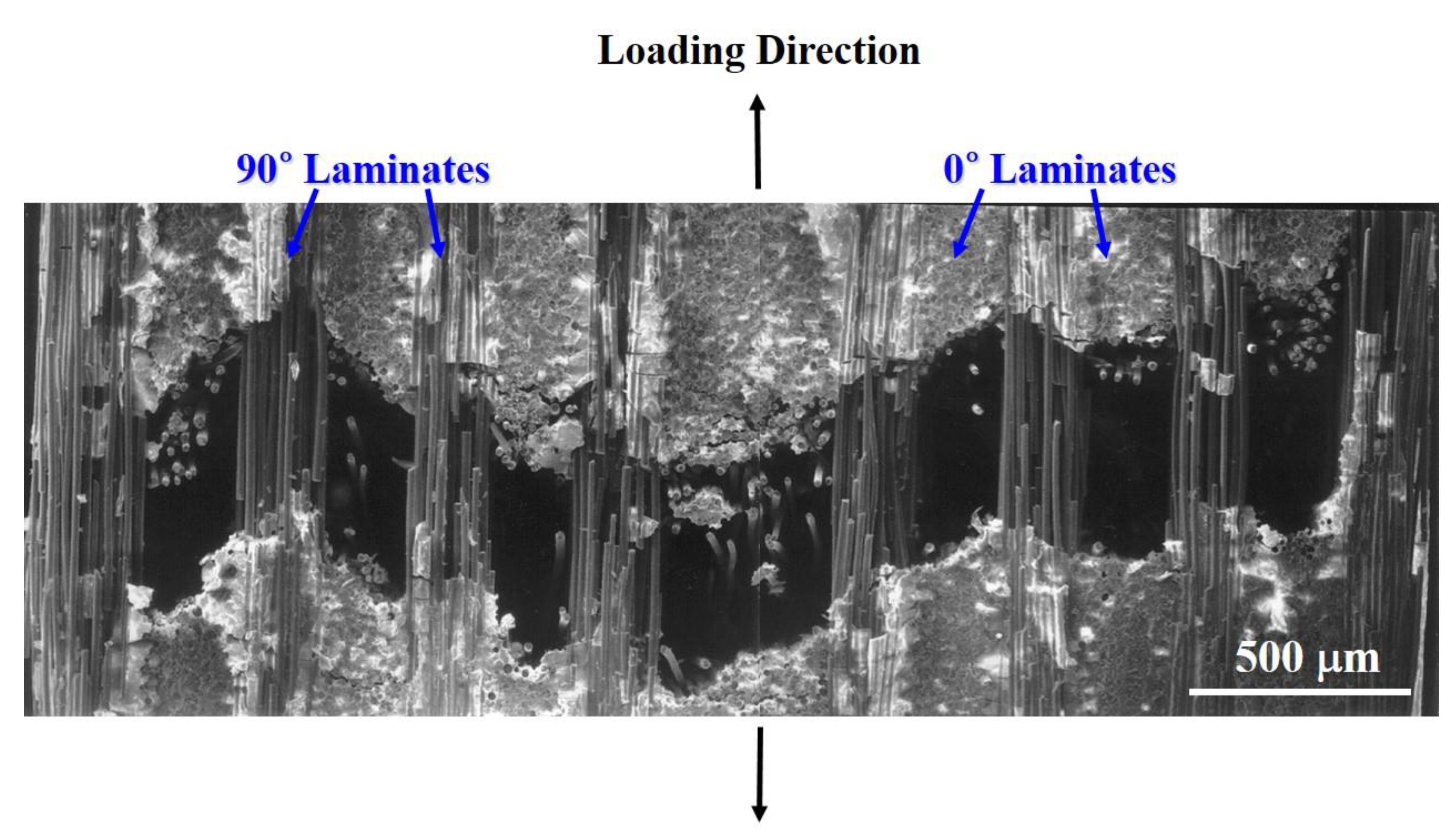 Materials 12 02997 g007