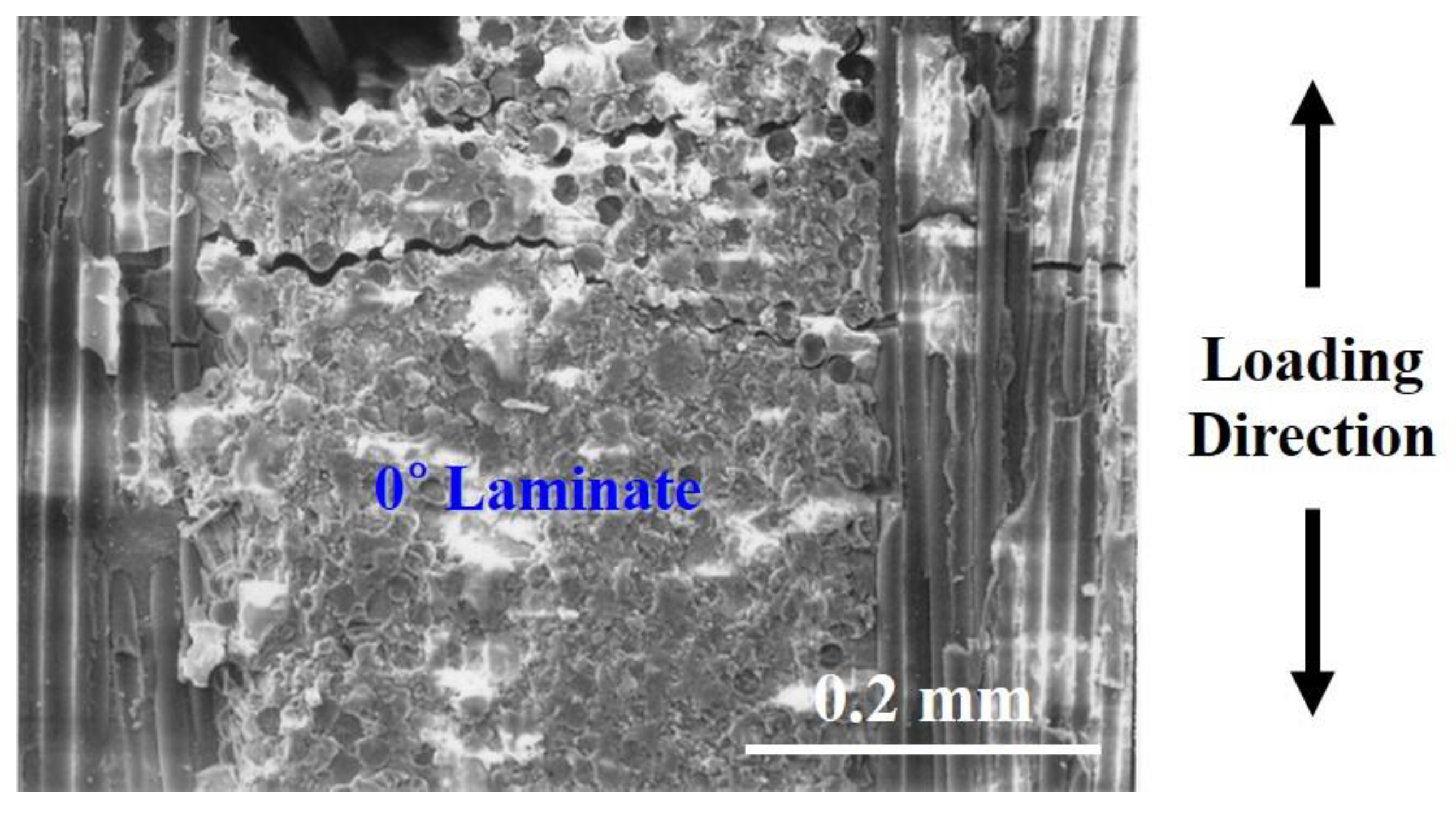 Materials 12 02997 g008