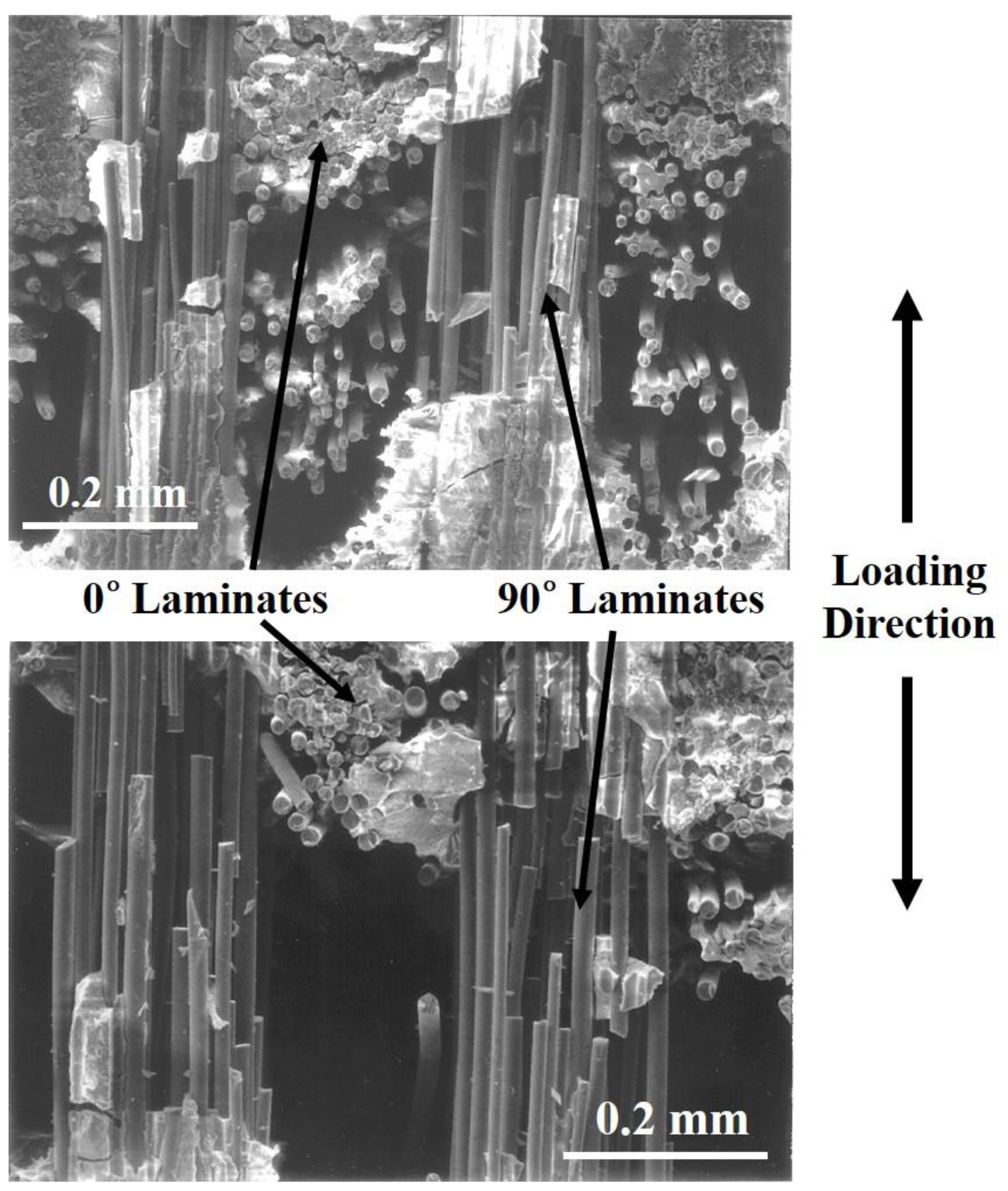 Materials 12 02997 g009