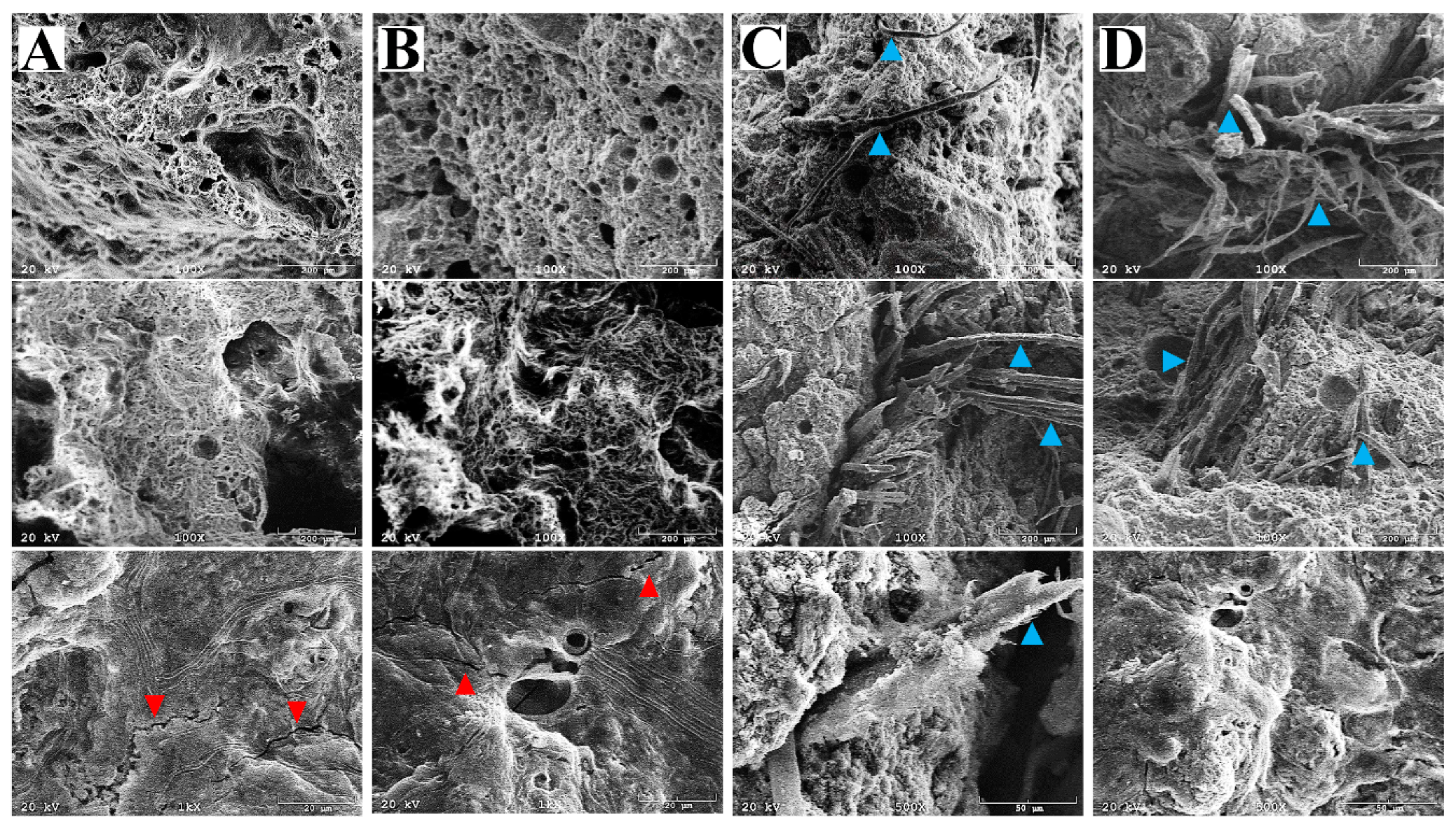 Materials 12 02999 g002