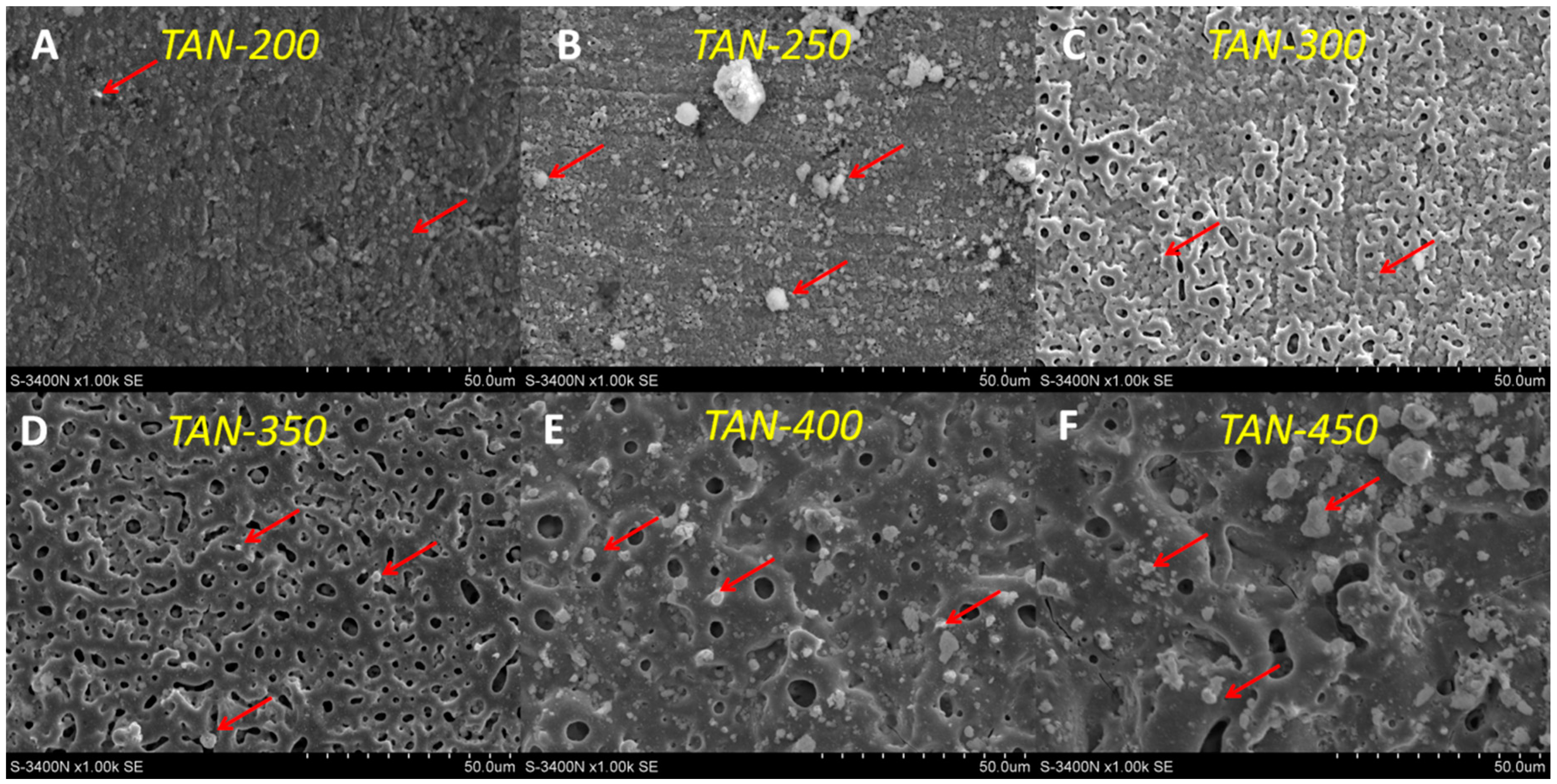 Materials 12 03002 g002 550