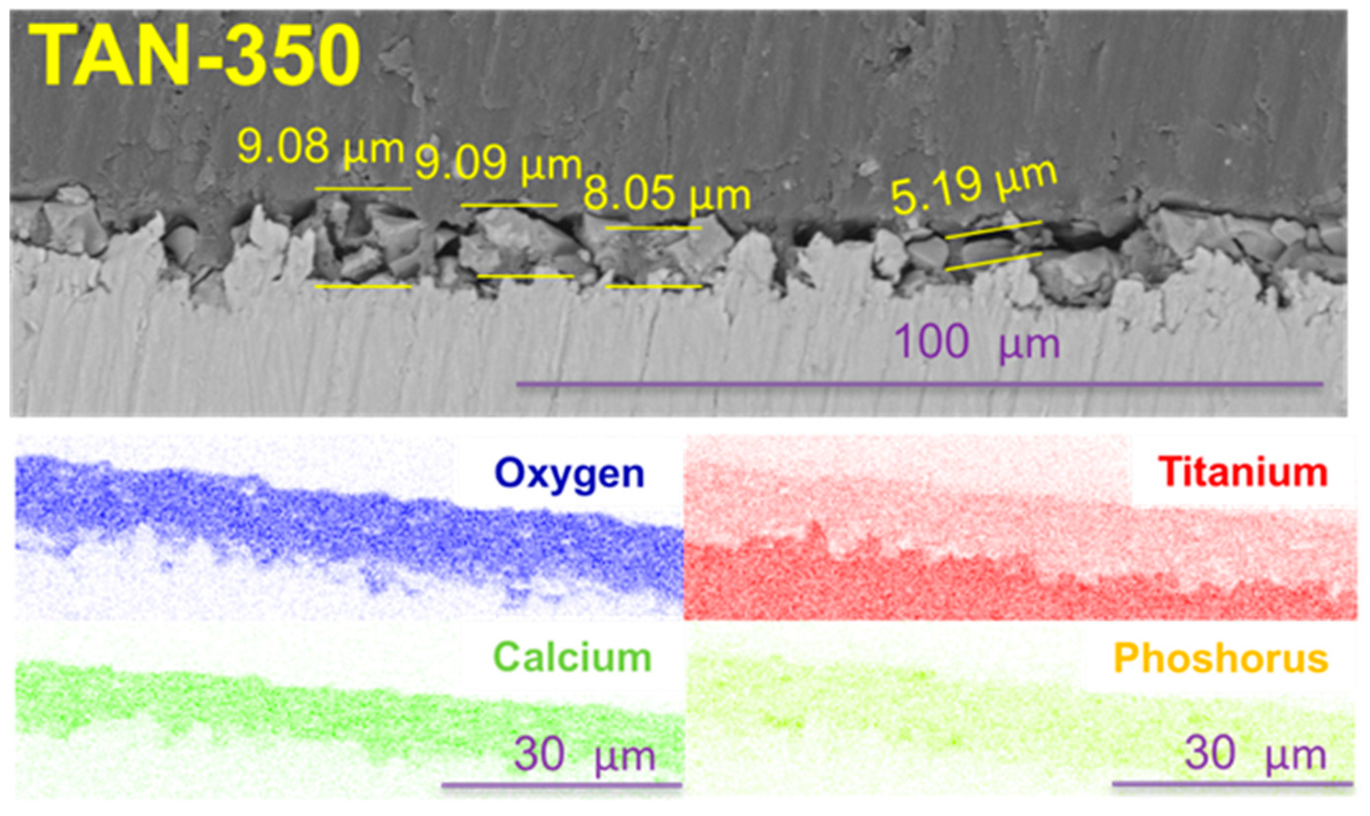 Materials 12 03002 g003 550