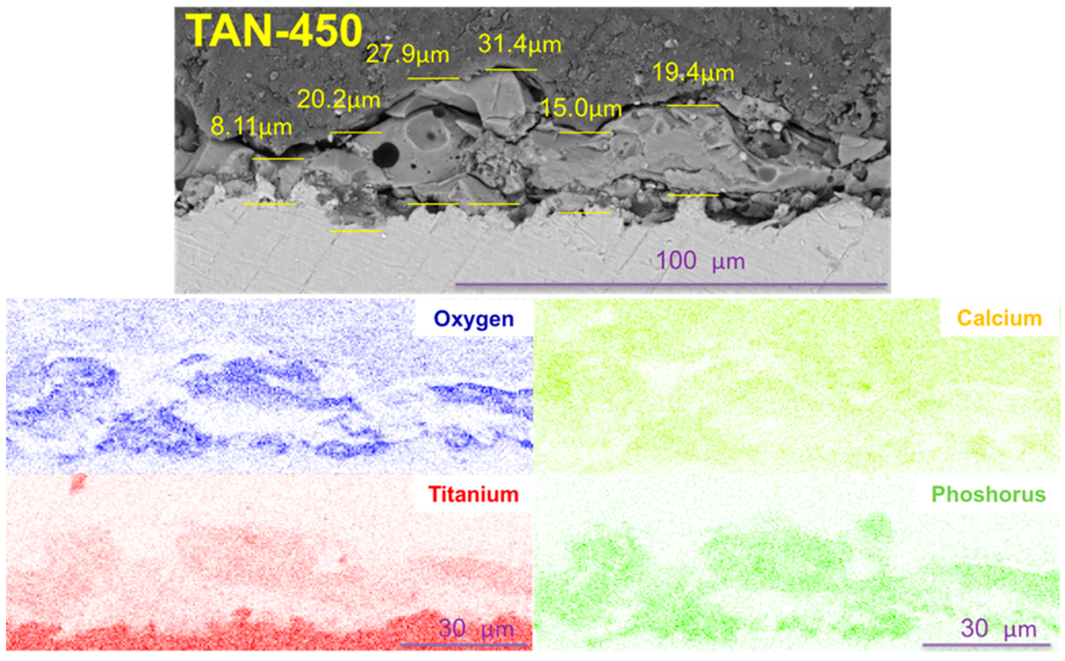 Materials 12 03002 g004 550