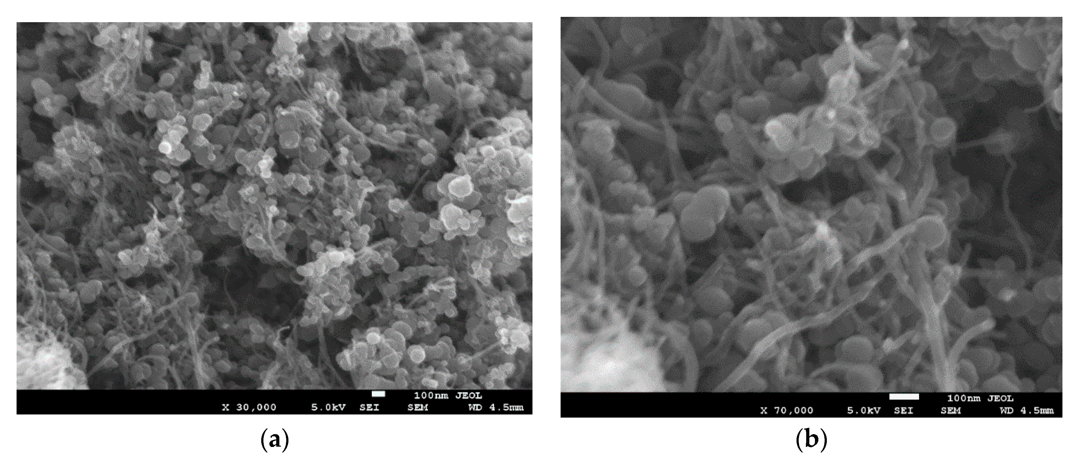 Materials 12 03044 g001