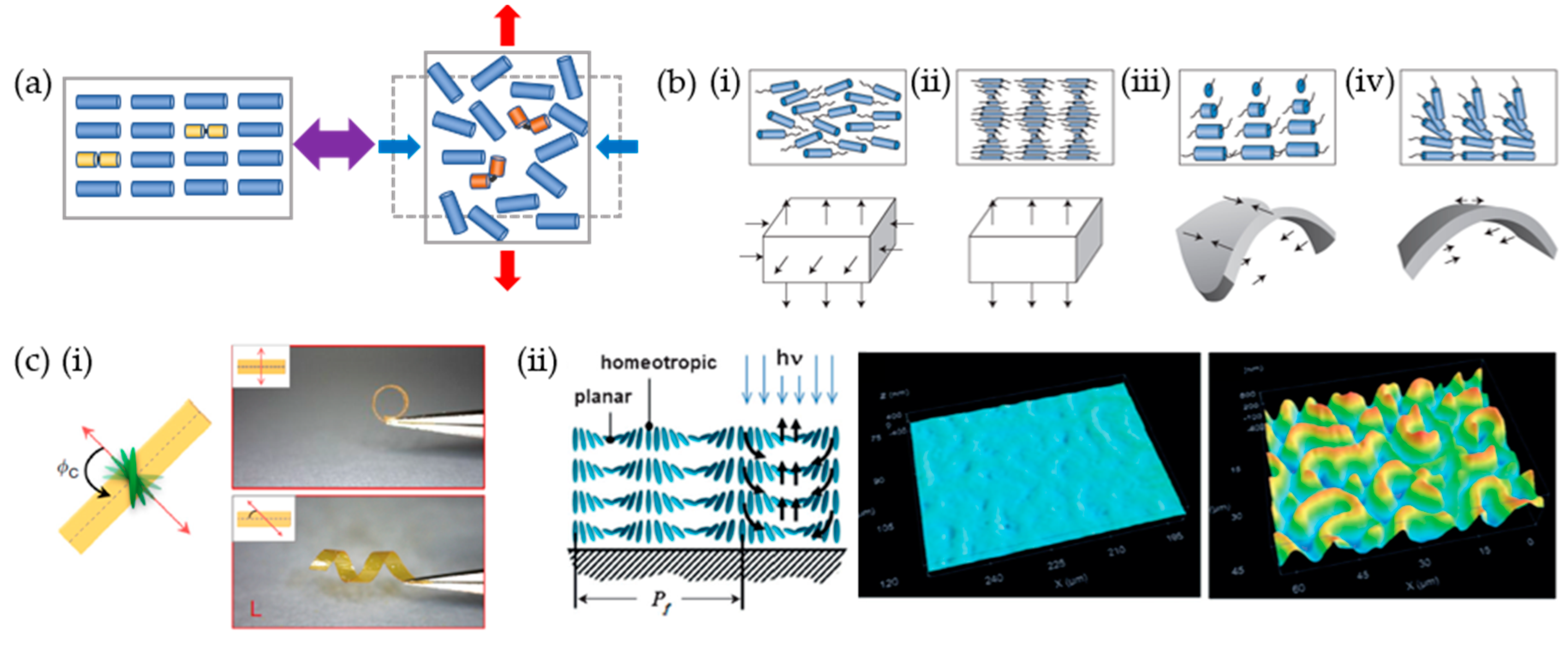 Materials 12 03065 g006 Materials 12 03065 g006