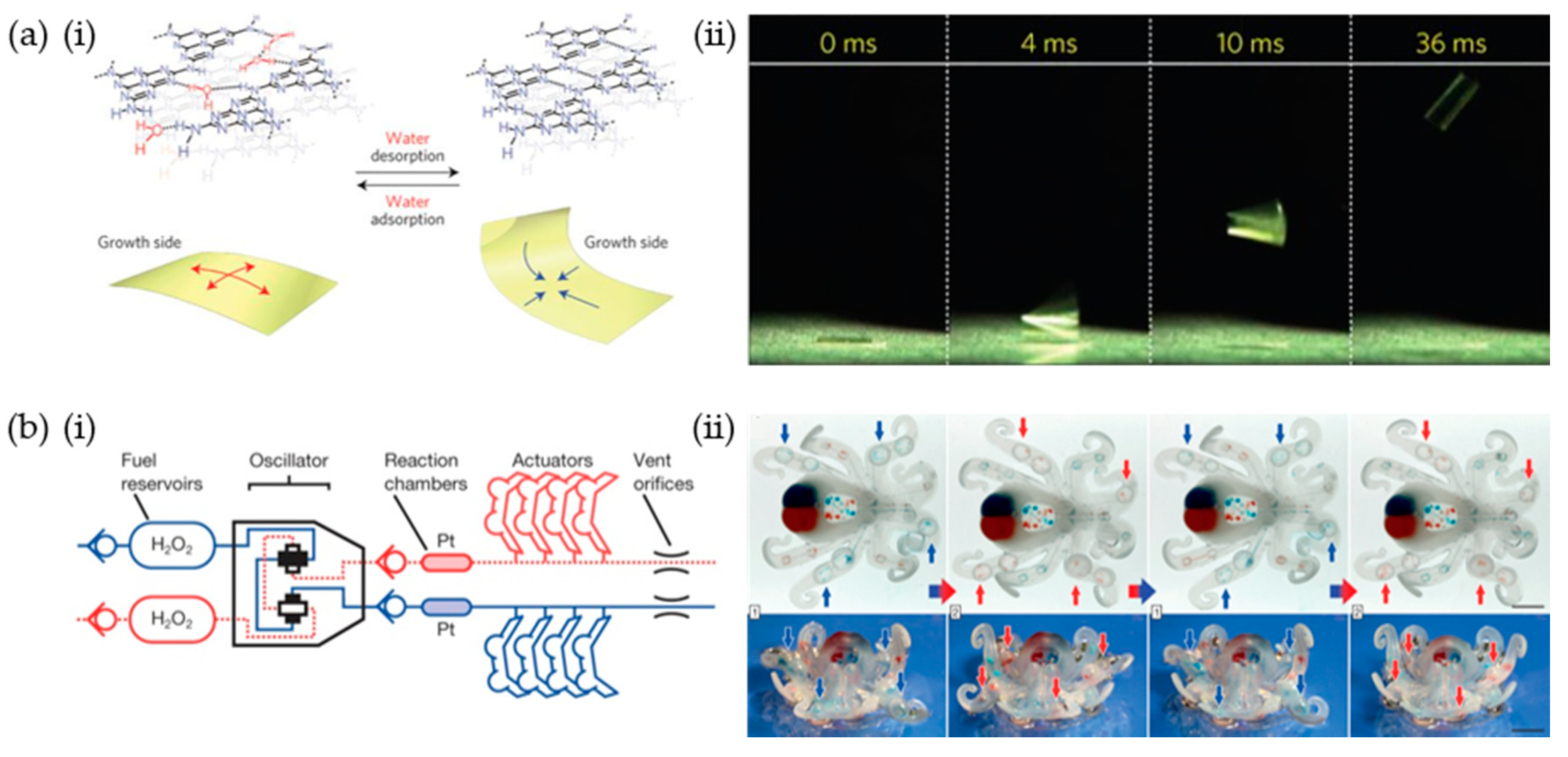 Materials 12 03065 g012 Materials 12 03065 g012