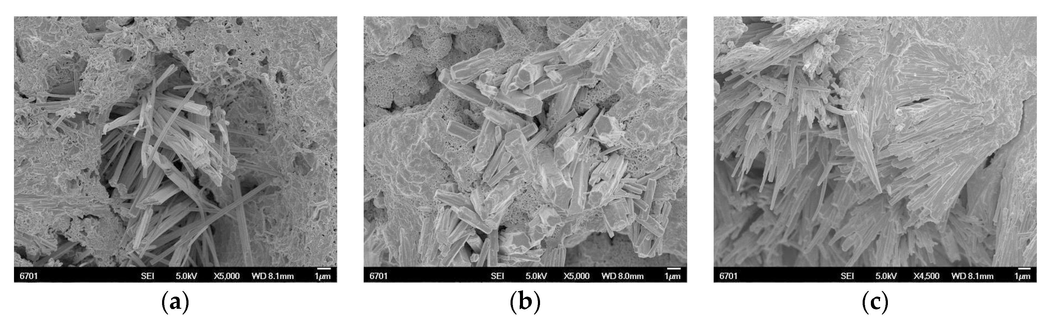 Materials 12 03069 g005