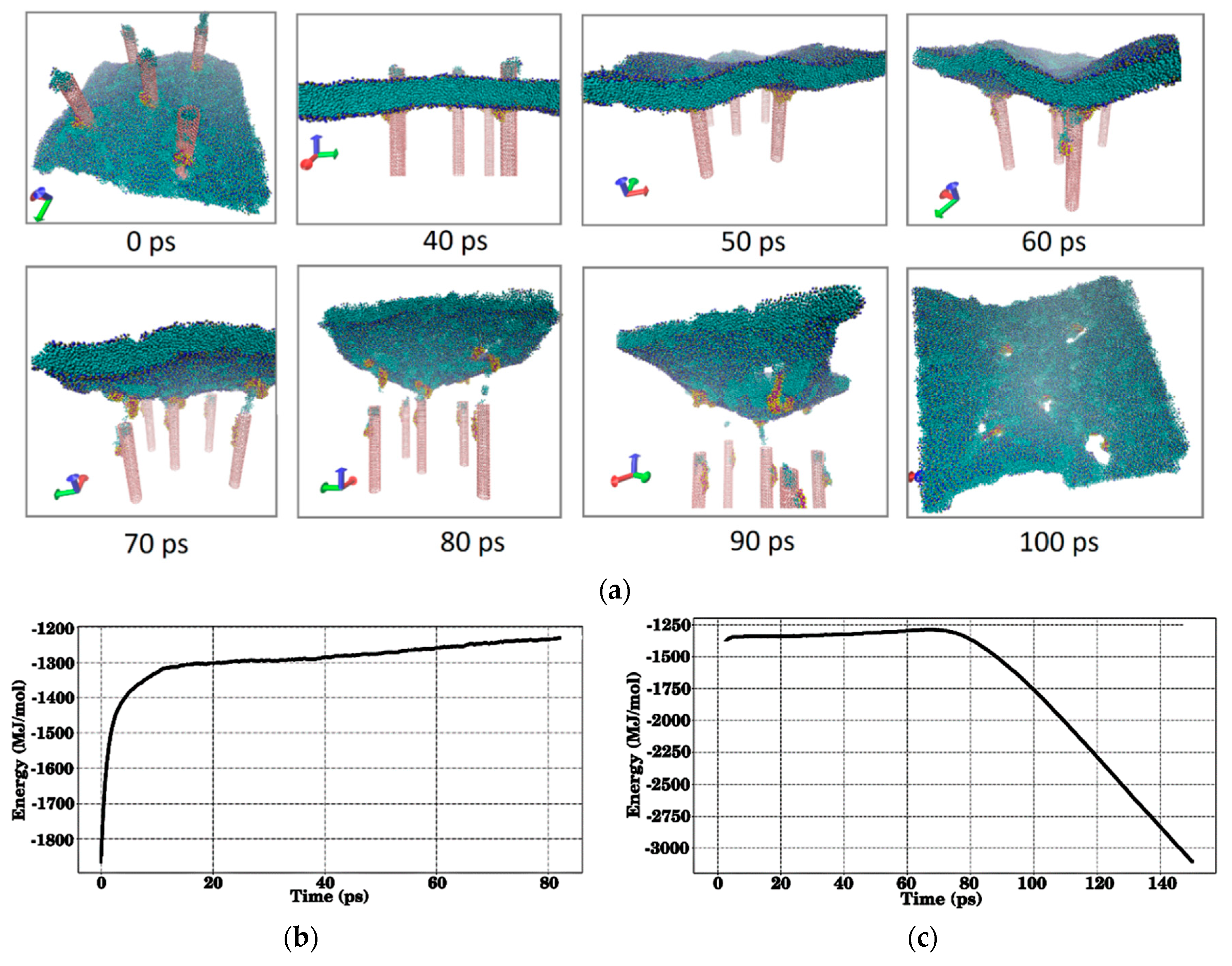 Materials 12 03083 g007