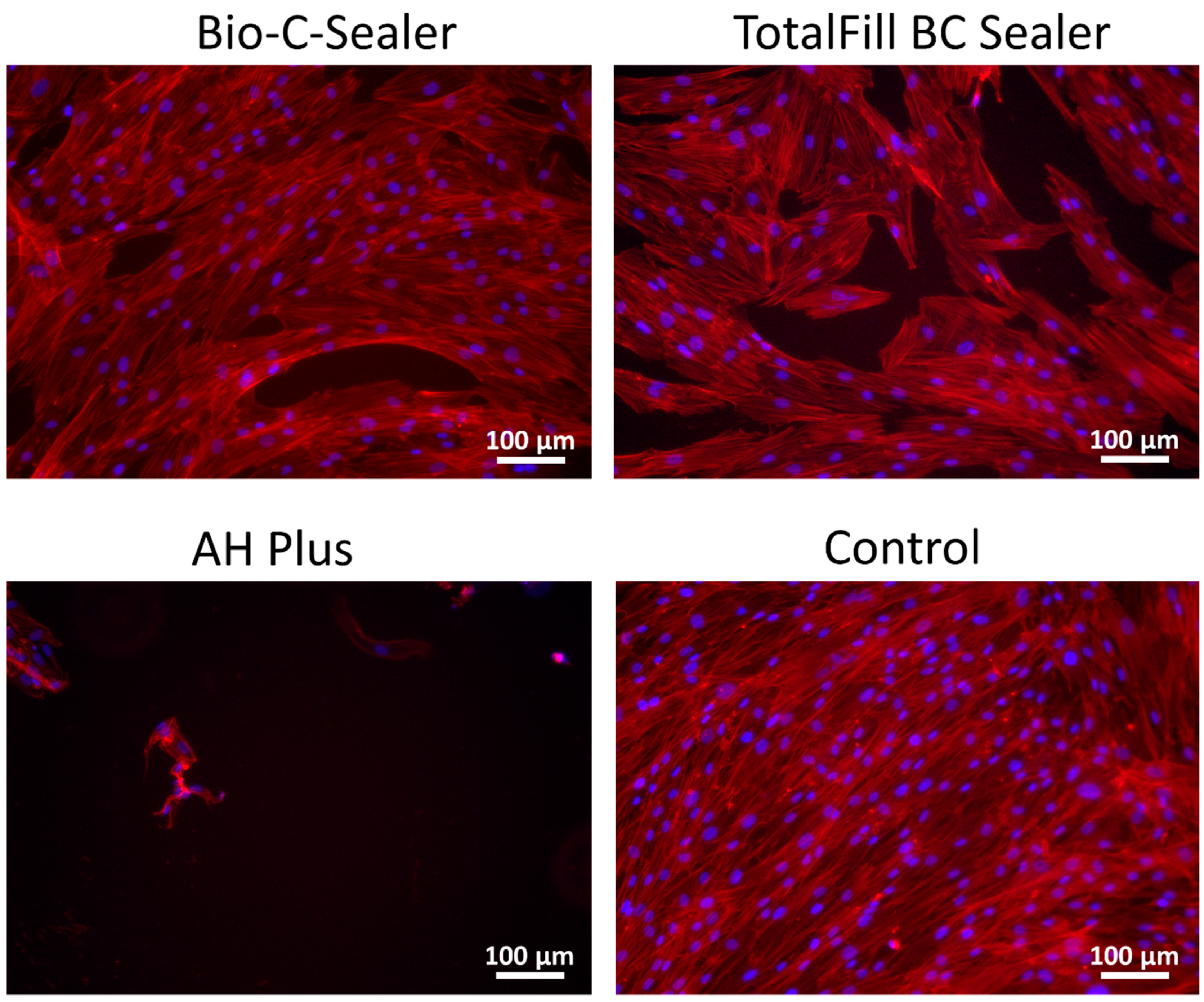 Materials 12 03087 g003 Materials 12 03087 g003
