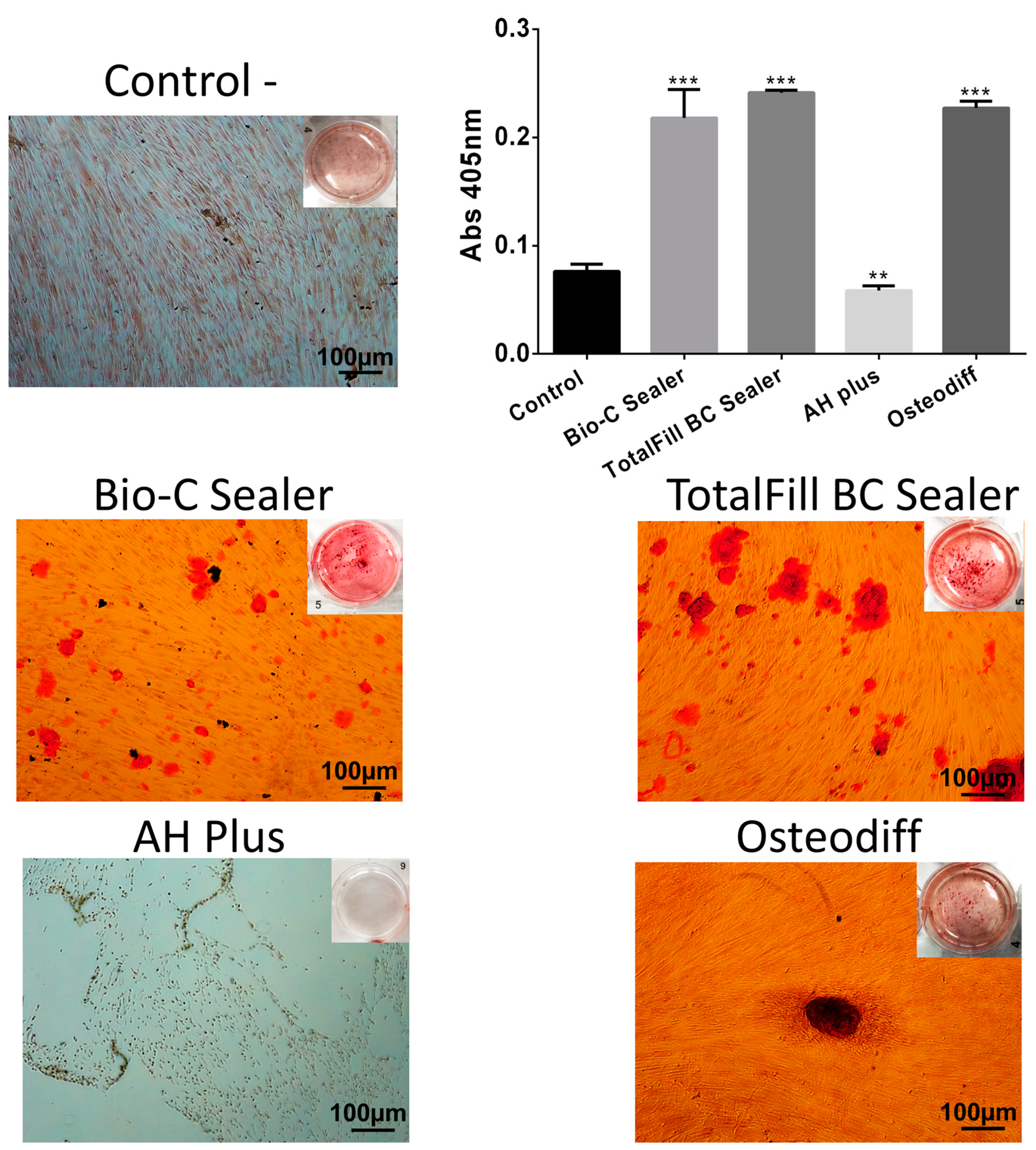 Materials 12 03087 g006 Materials 12 03087 g006