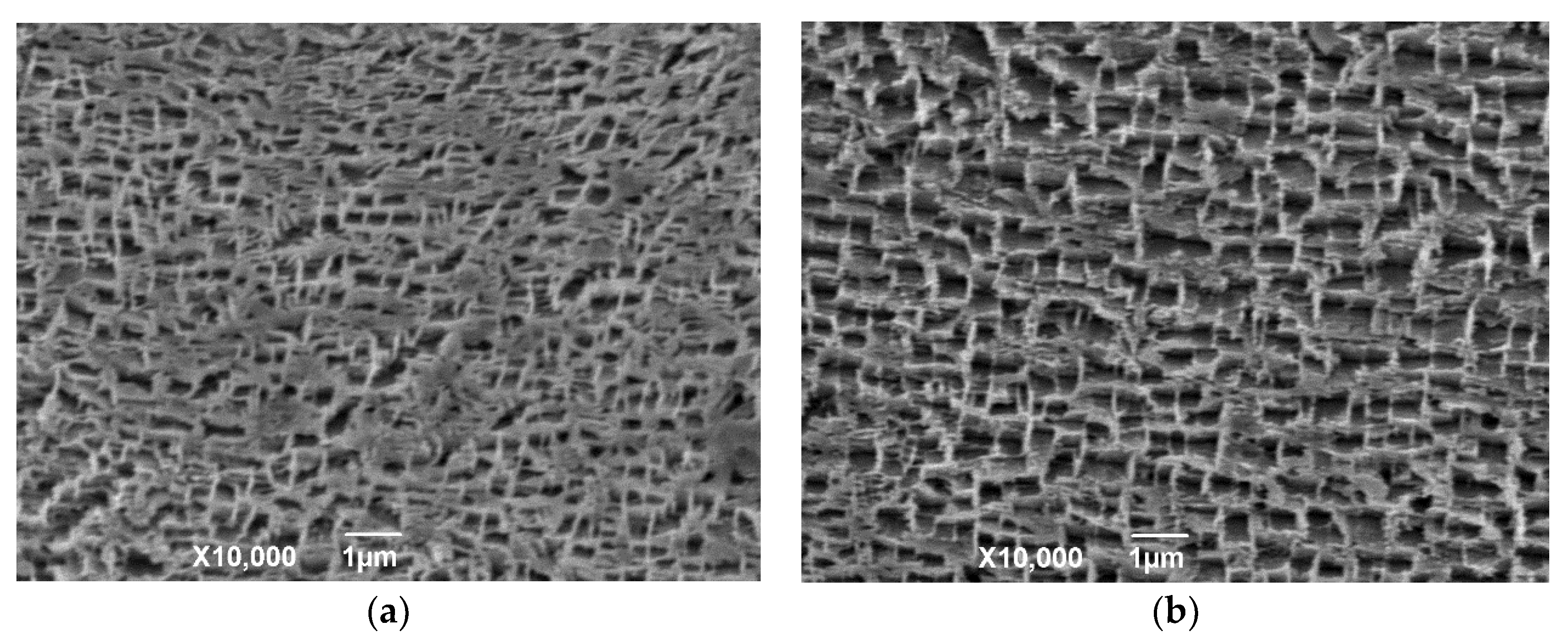 Materials 12 03088 g009 Materials 12 03088 g009